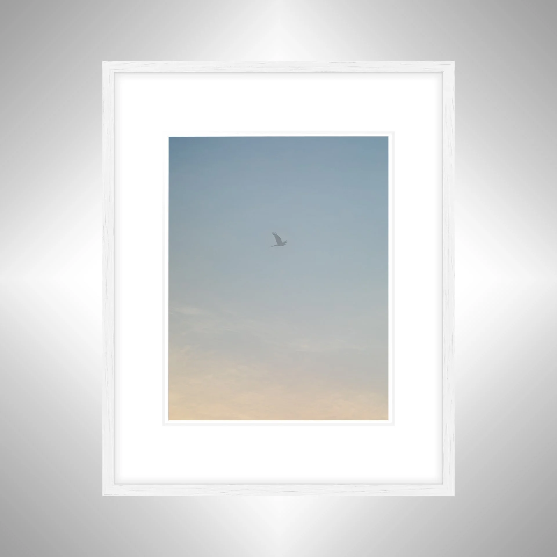 1:1 Seagull thru Fog- White w: Border.jpg