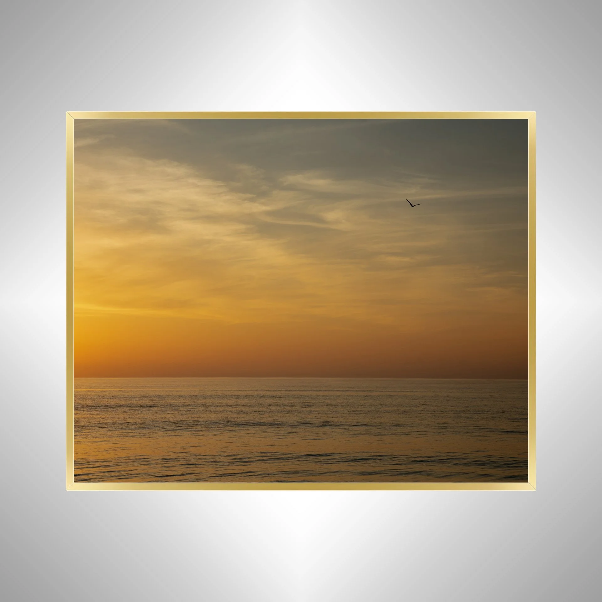 1:1 Orange Sunrise with Seagull in Duck, NC- Gold.jpg