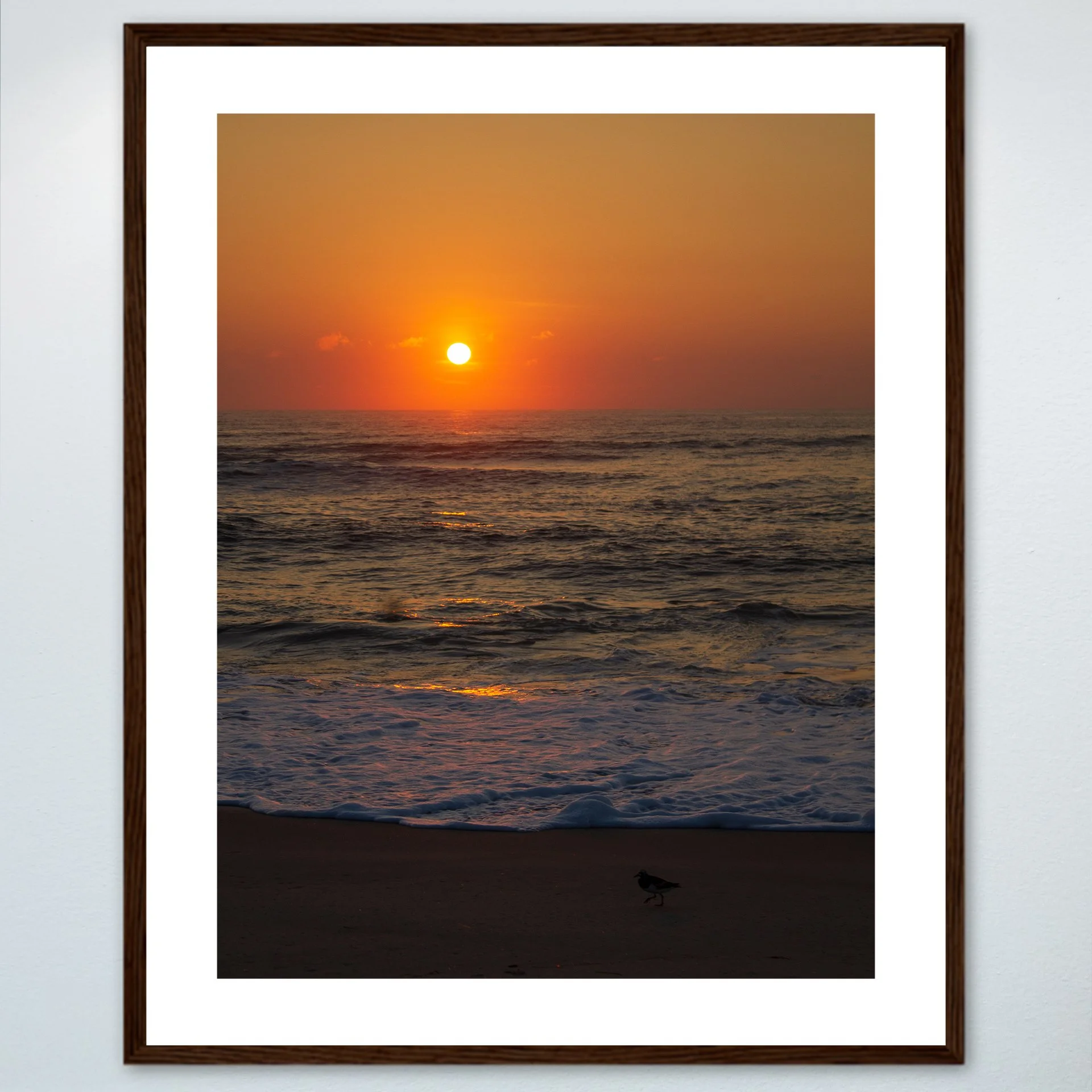1:1 Sanderling at Sunrise- Wood w: Border.jpg