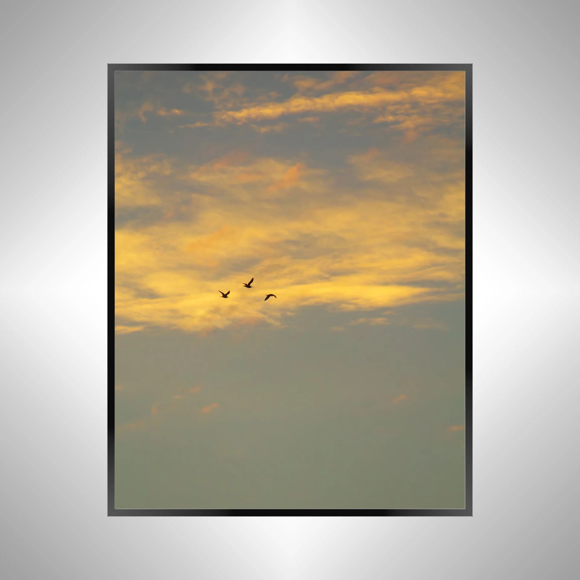 1/1 Trio of Gulls Flying at Sunrise