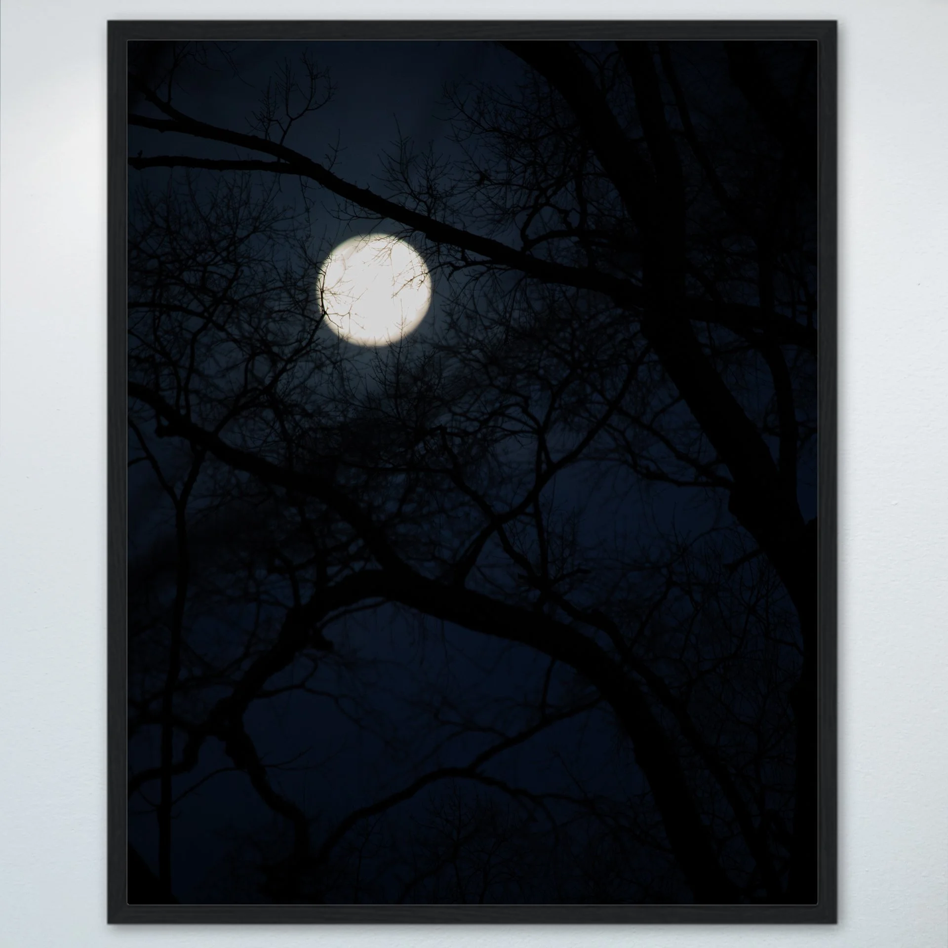1:1 Spooky Moon in Norfolk- Wood.jpg