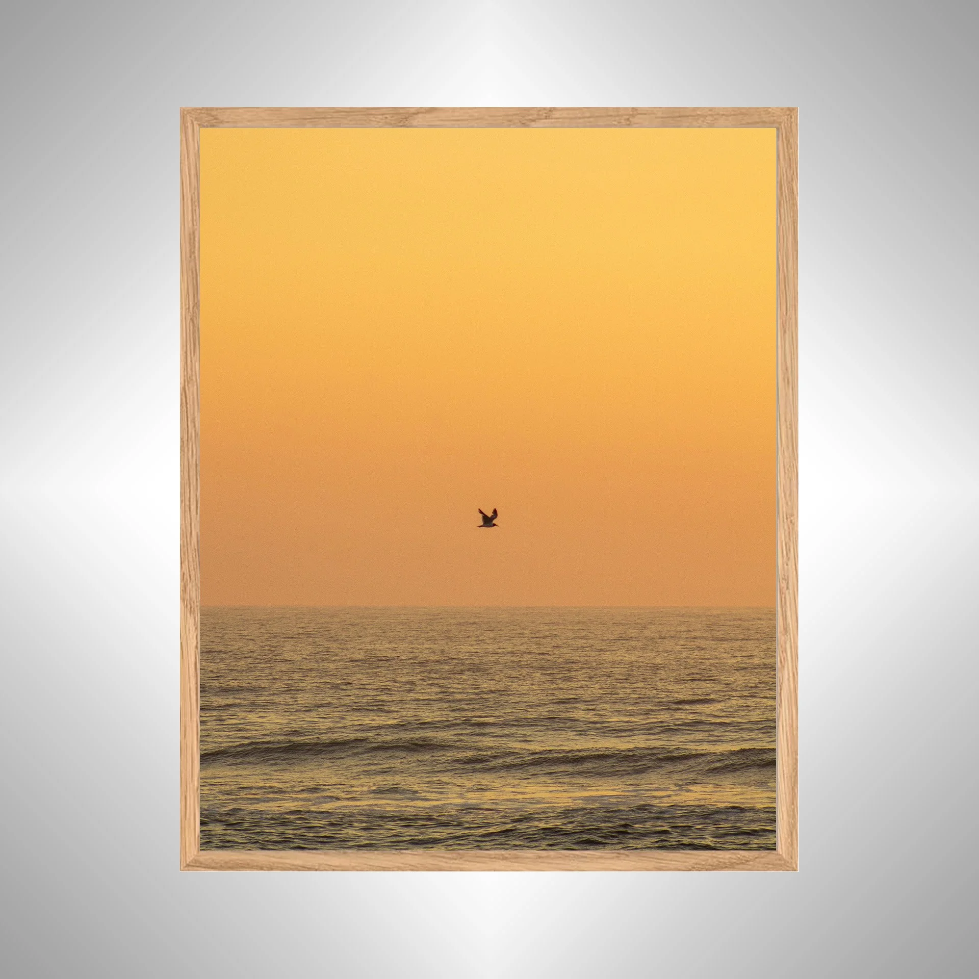 1:10 Sunrise Soaring Seagull-w NATTY WB.jpg