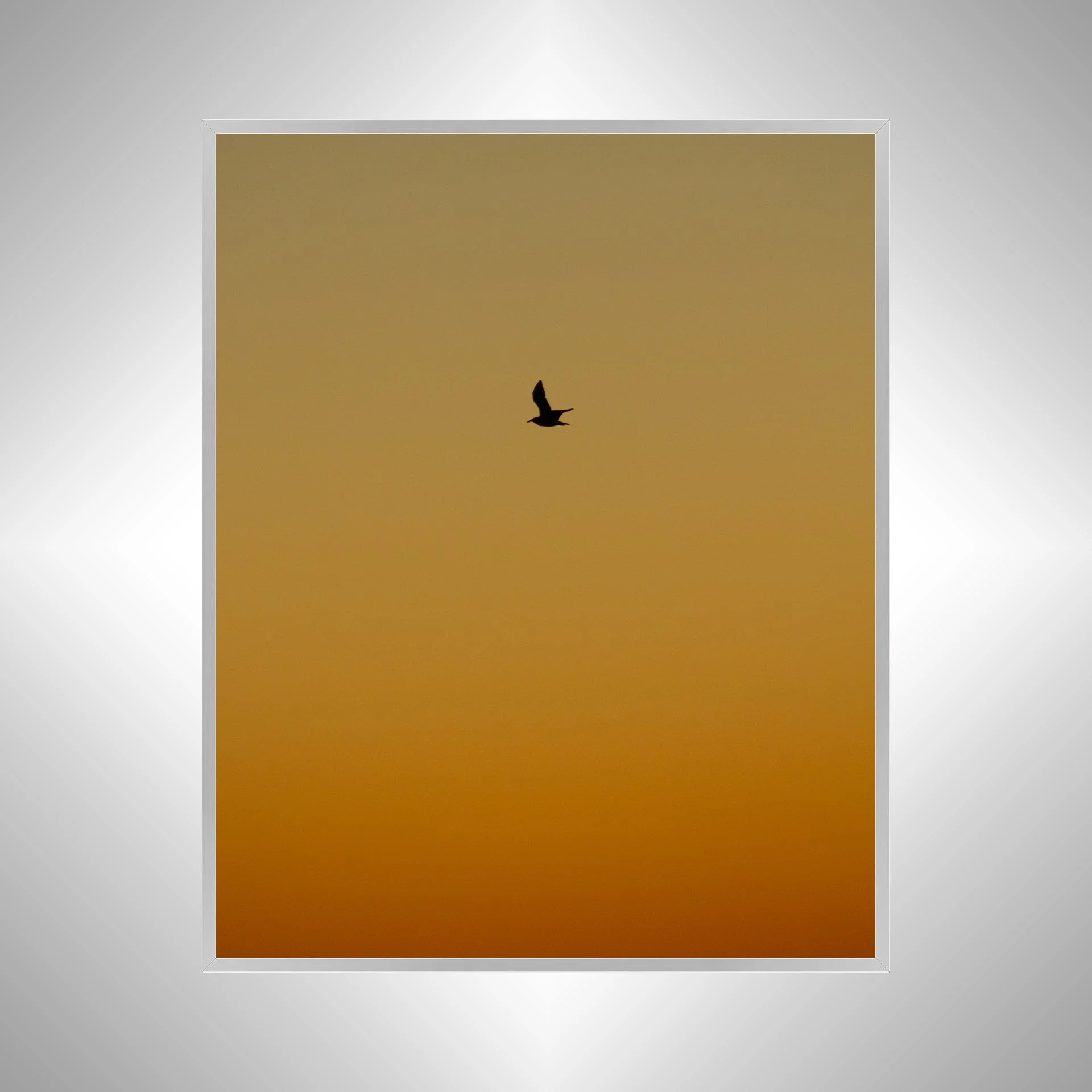 1:1 Seagull Silhouette Soaring North with Orange Gradient- Silver.jpg