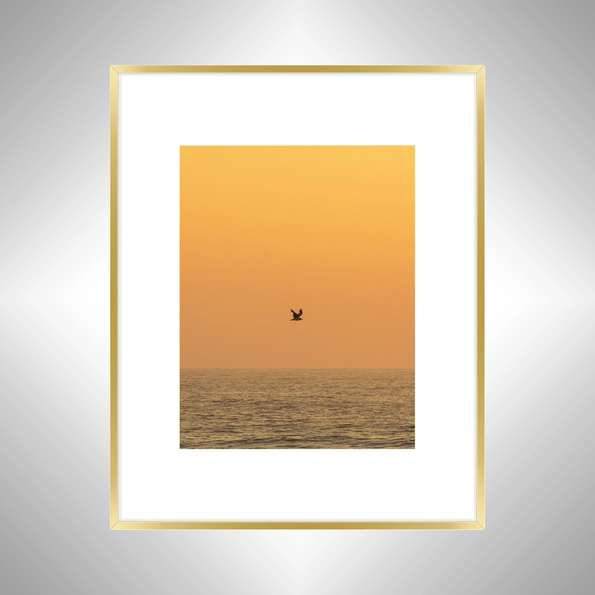 1:10 Sunrise Soaring Seagull-gwb.jpg