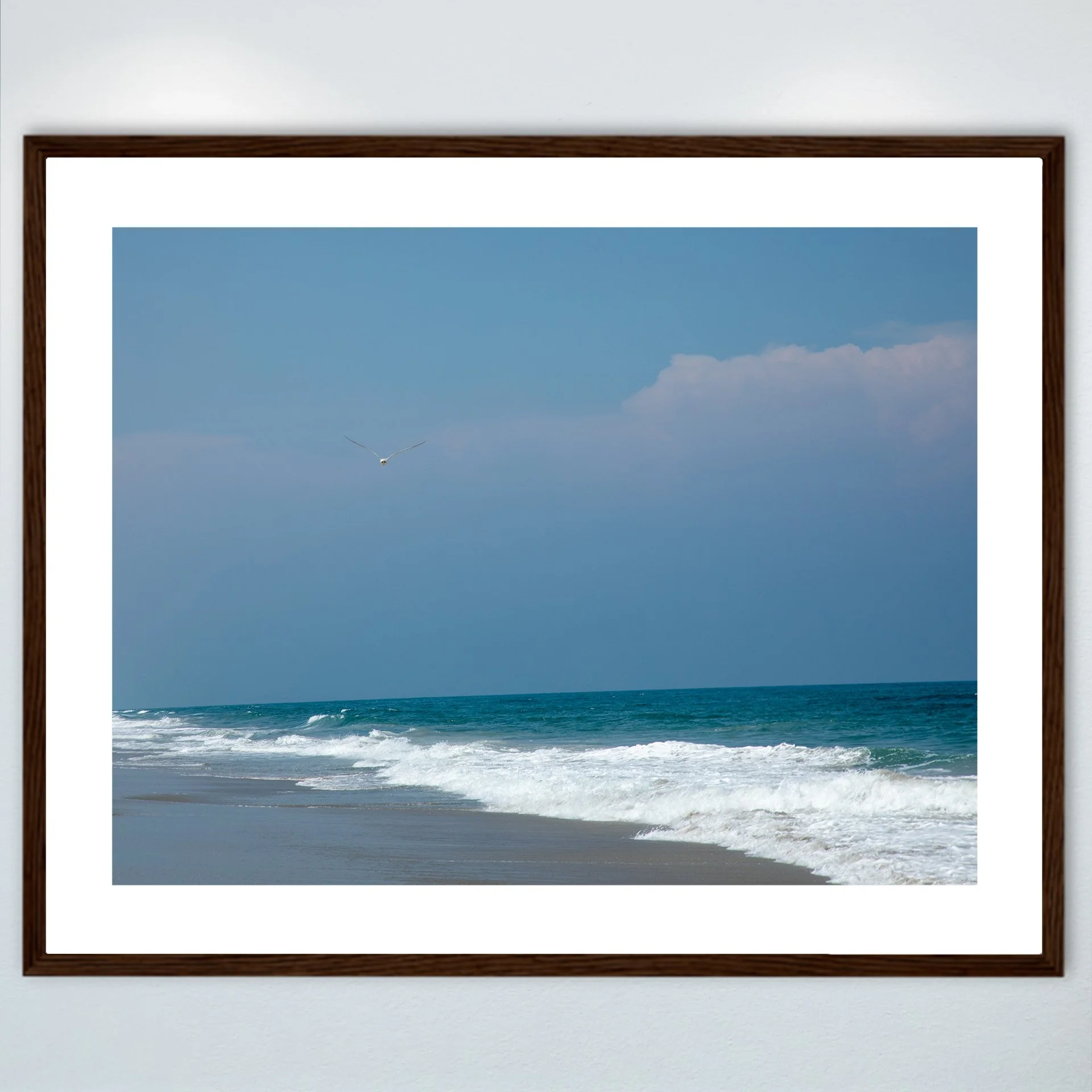 1:10 Seagull in Carova- Wood w: Border.jpg