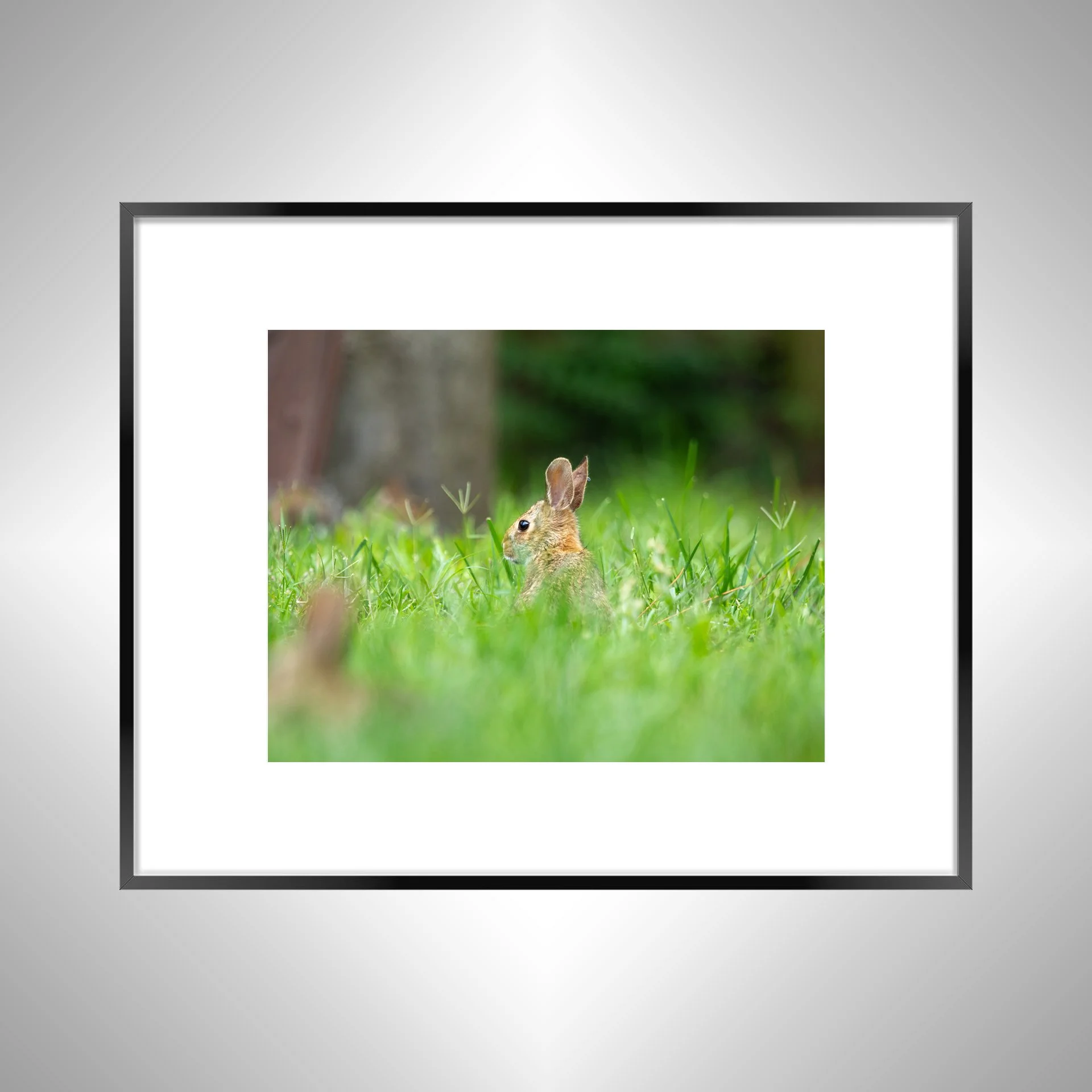 1:1 Standing Bunny- Black w: Border.jpg