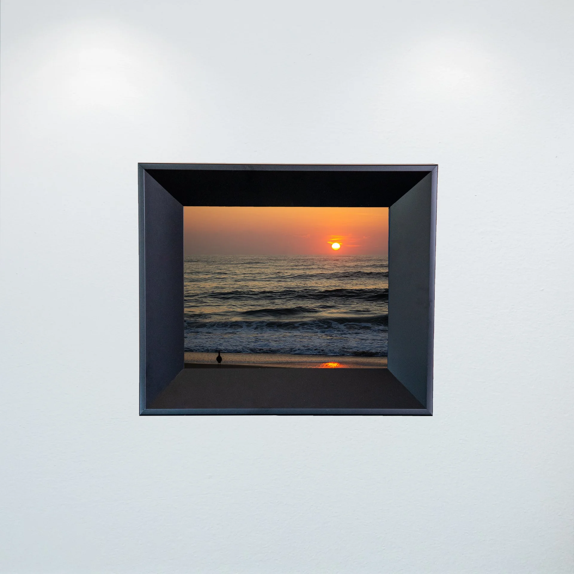 1:1 Willet Watching Sunrise- Mini.jpg