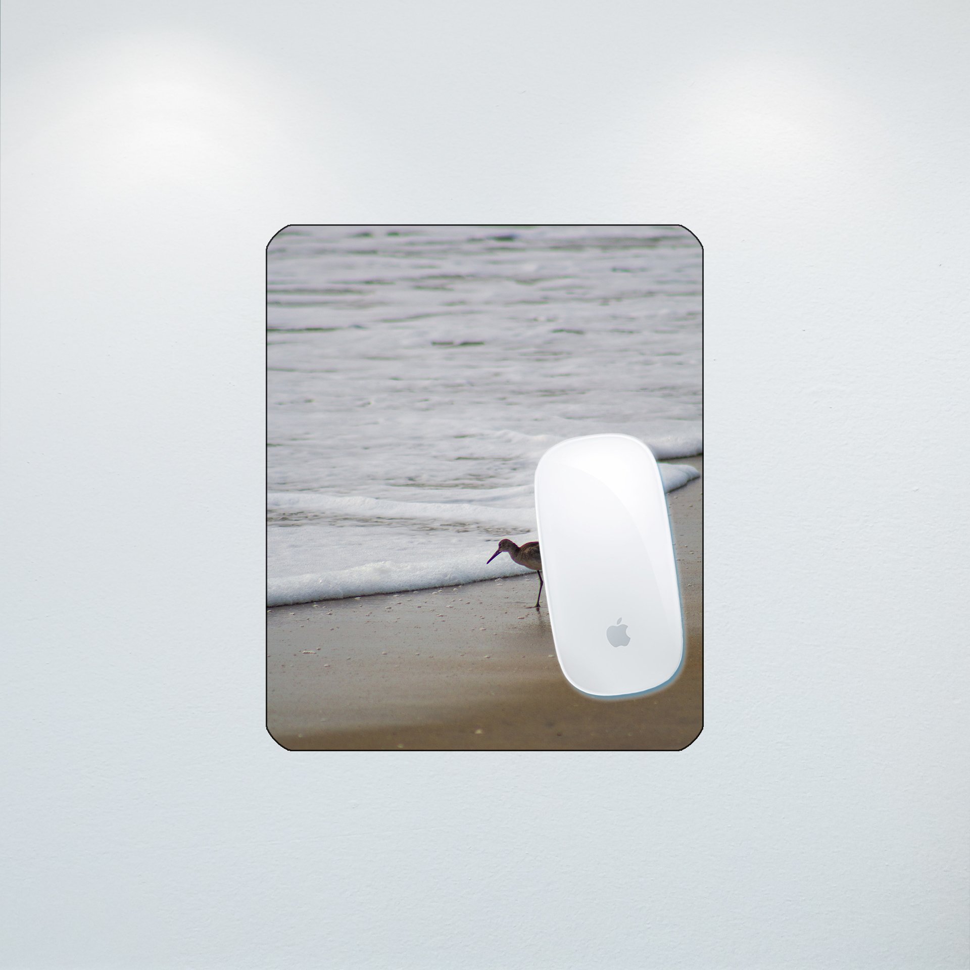 1:10 Willet at Beach Searching- Mouse Pad.jpg