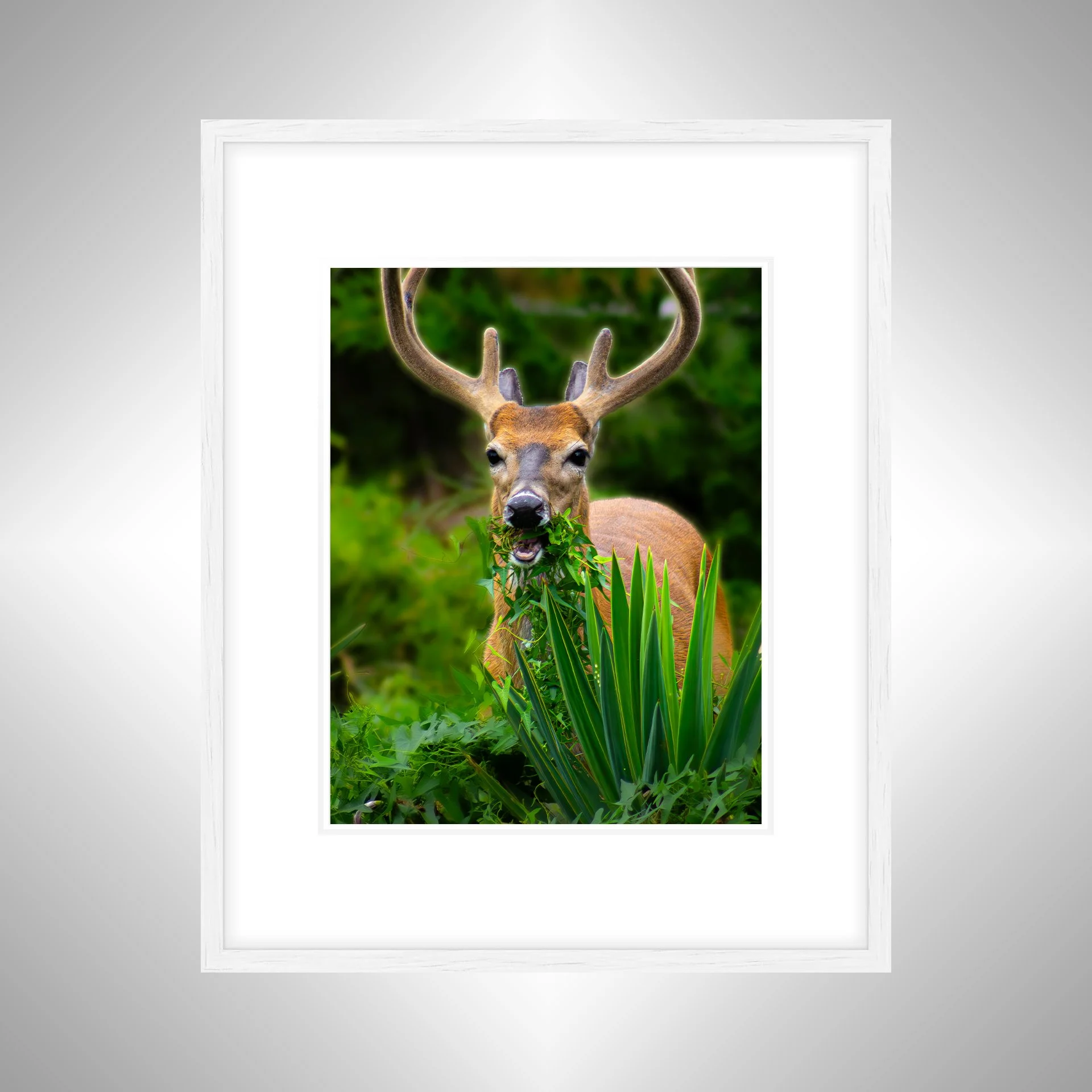 1:1 Deer Dinner in Hatteras- White Wood w: Border.jpg