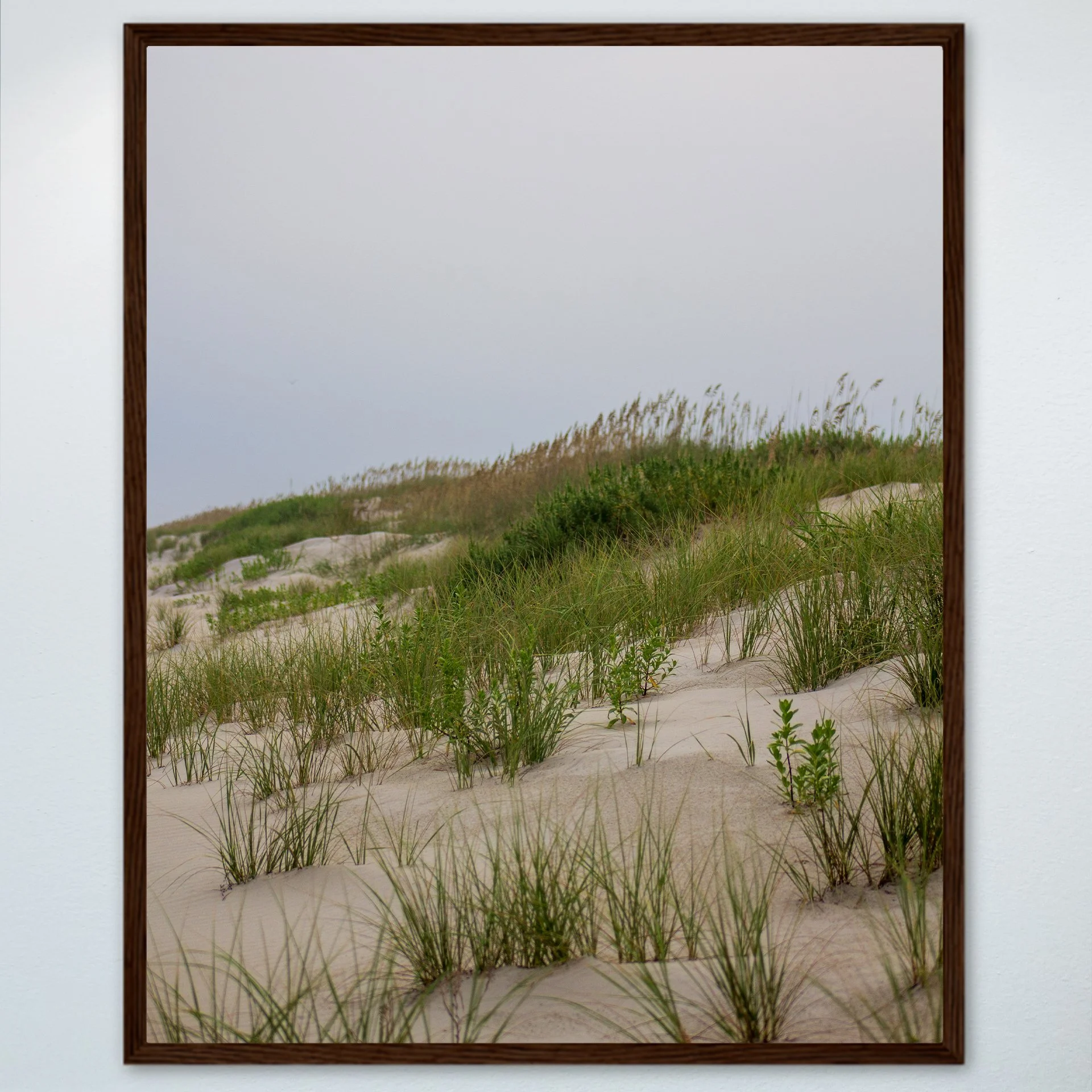 1:10 Ocracoke Dune Oats (Portrait)- Wood.jpg