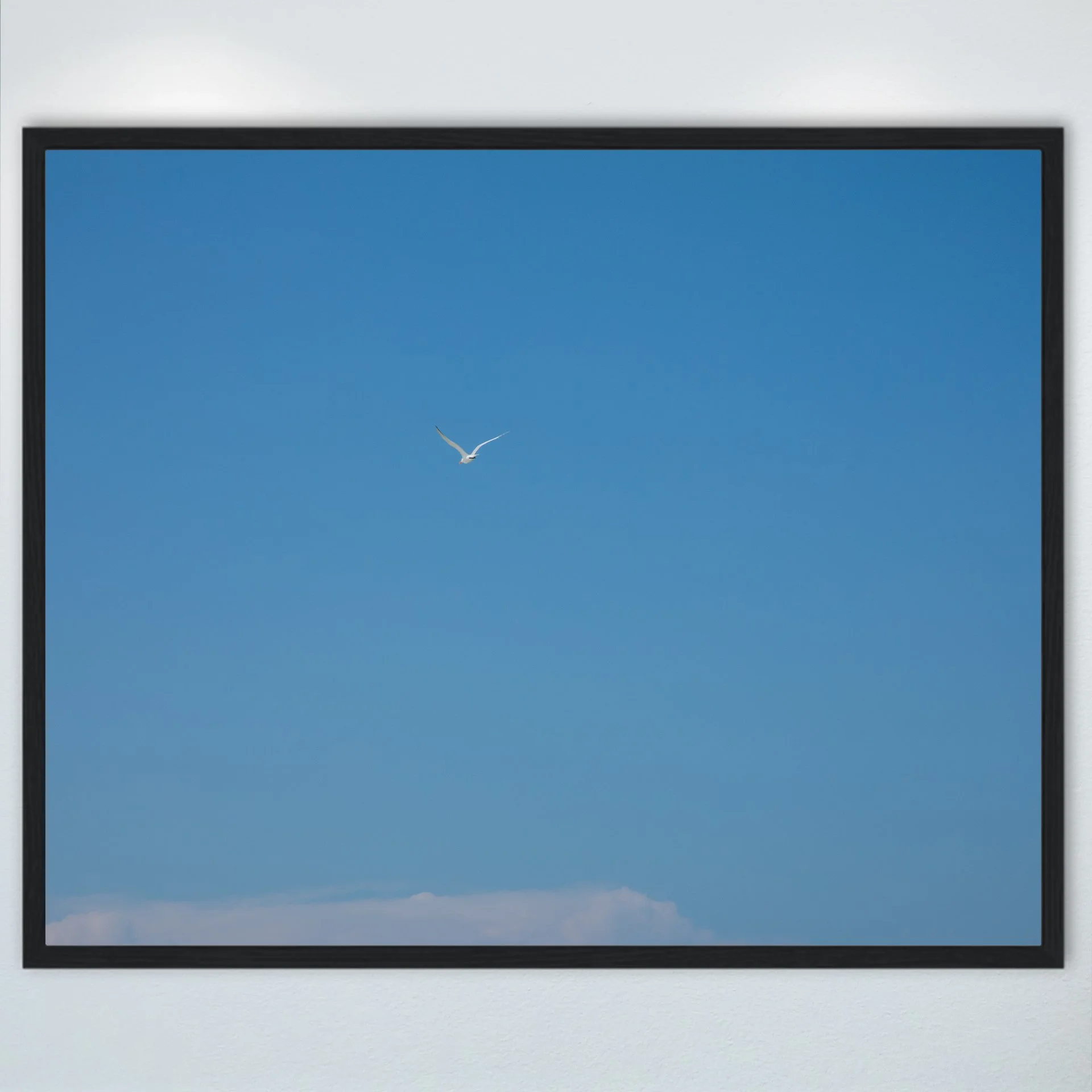 1:10 Seagull Flying Away- Wood.jpg