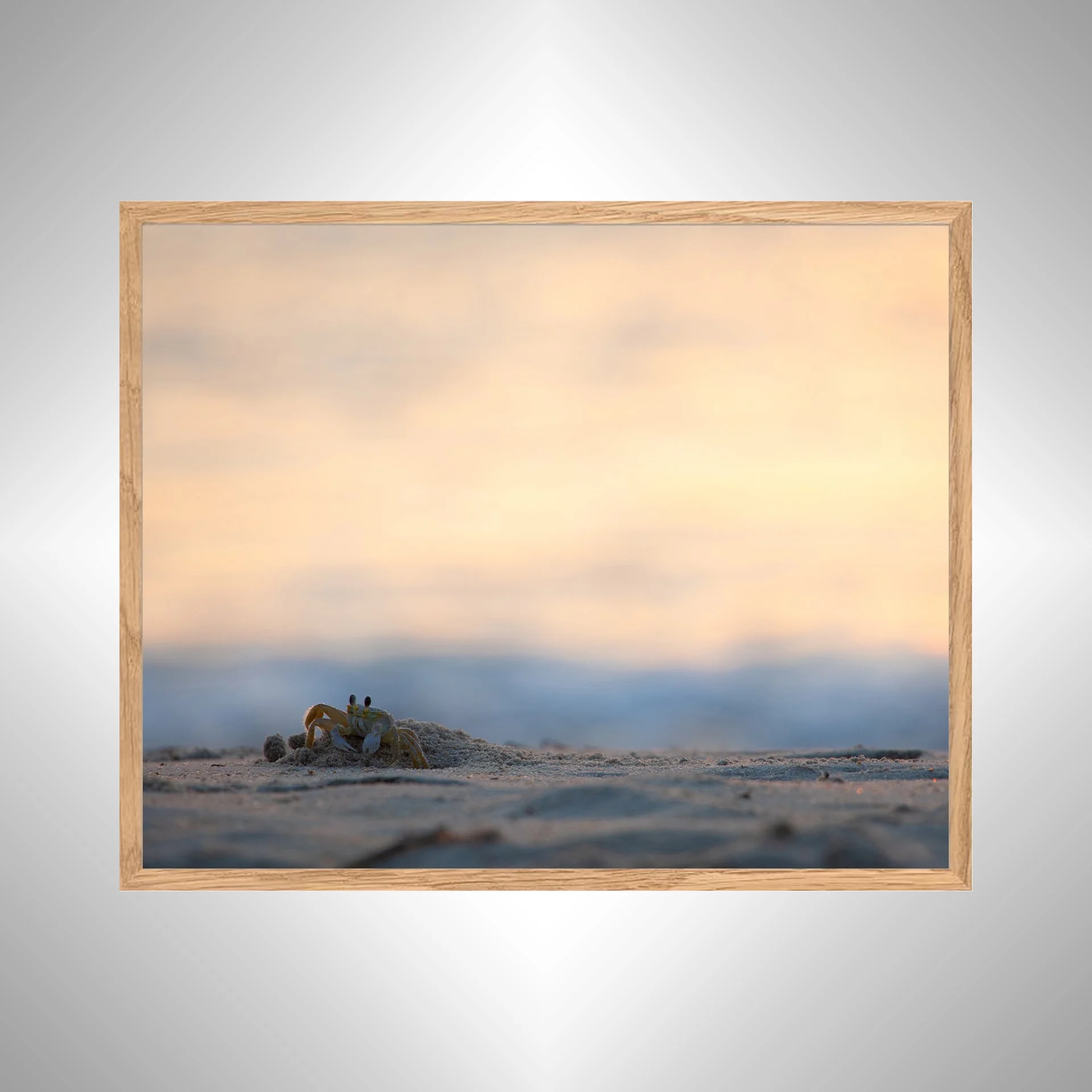 1:1 Ghost Crab Profile- White Wood copy NATTY.jpg