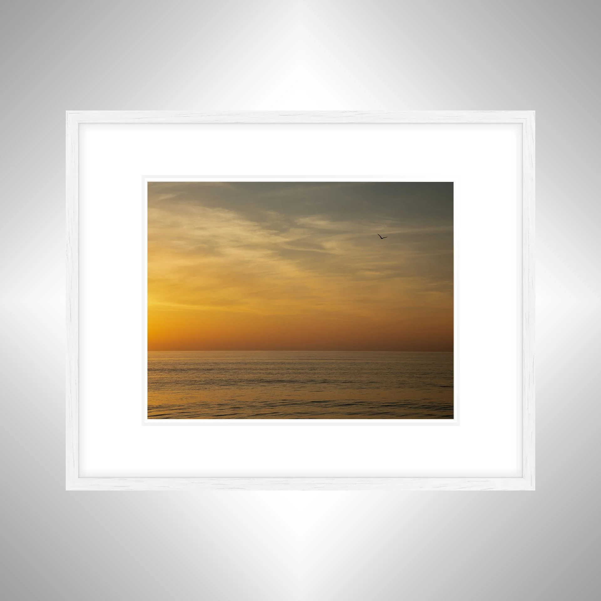 1:1 Orange Sunrise with Seagull in Duck, NC- White w: Border.jpg
