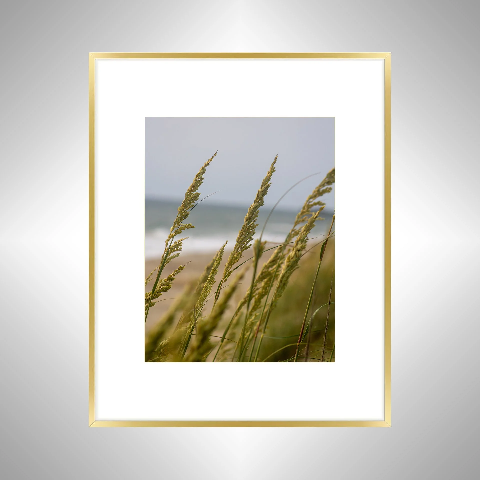 1:1 Rodanthe Dune Oats Group- Gold w: Border.jpg