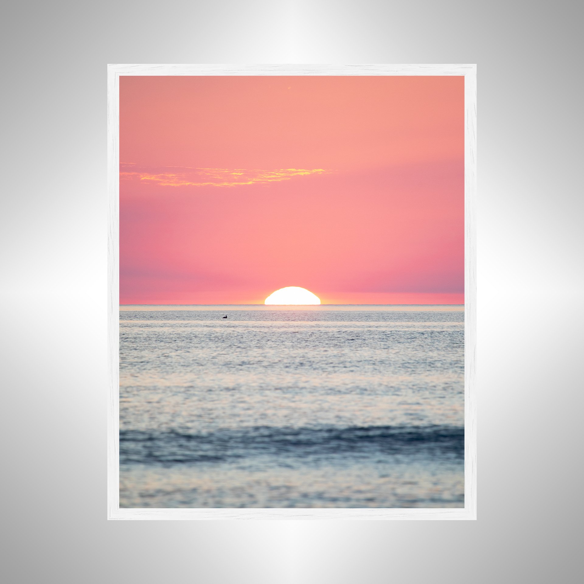 1:1 Pelican Watching Sunrise (Portrait)- White.jpg