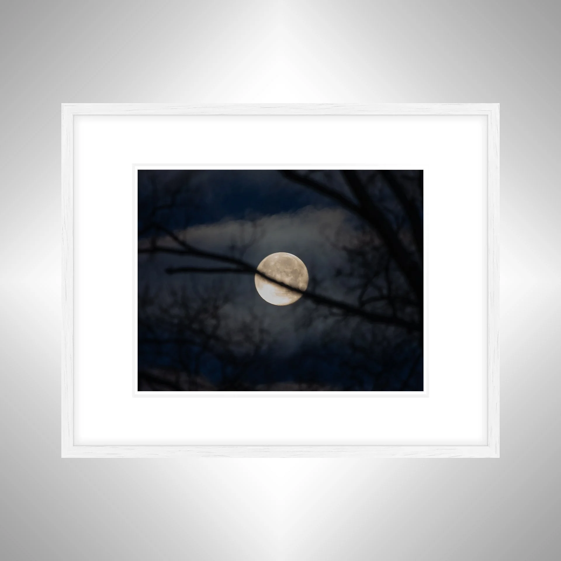 1:1 Moon thru Tree Branches- White Wood w: Border.jpg