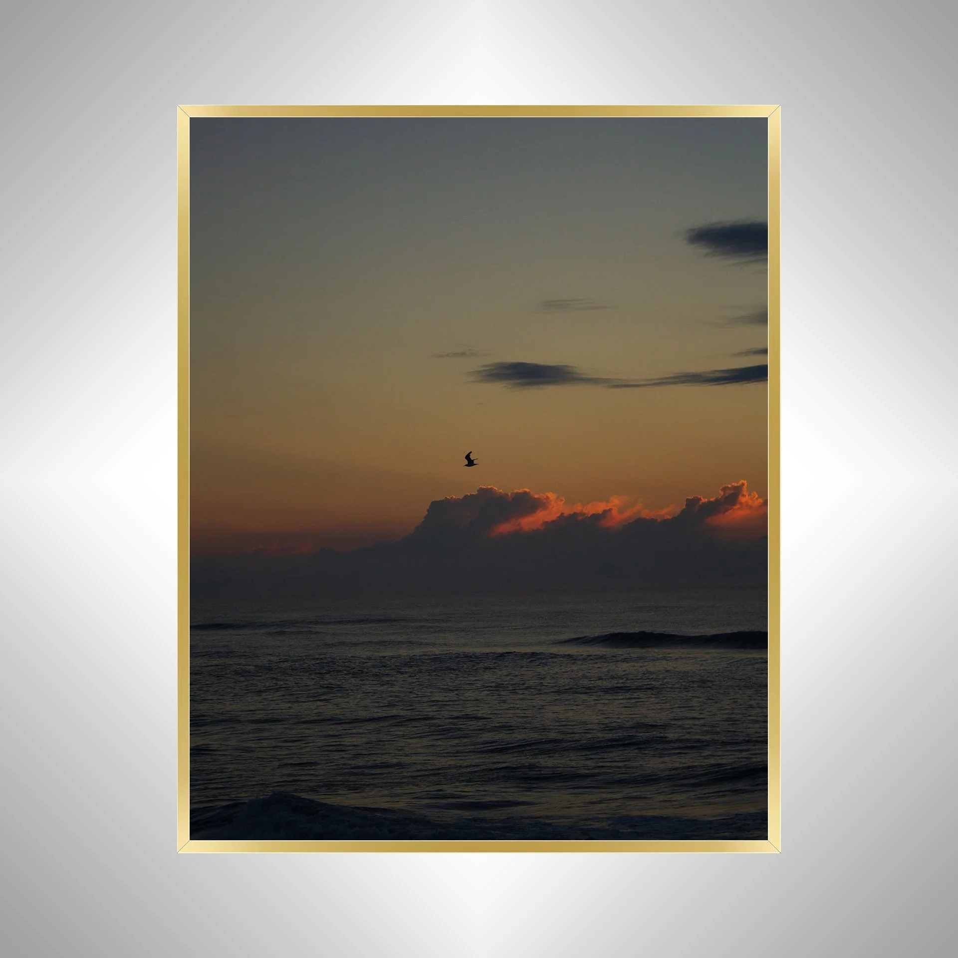 1:1 Cloudy Sunrise Soaring Seagull- Gold Metal.jpg