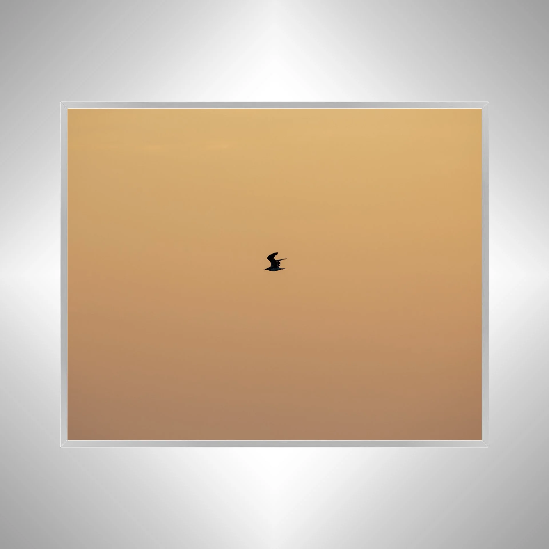 1:10 Orange Side Glider in Duck, NC- Silver.jpg