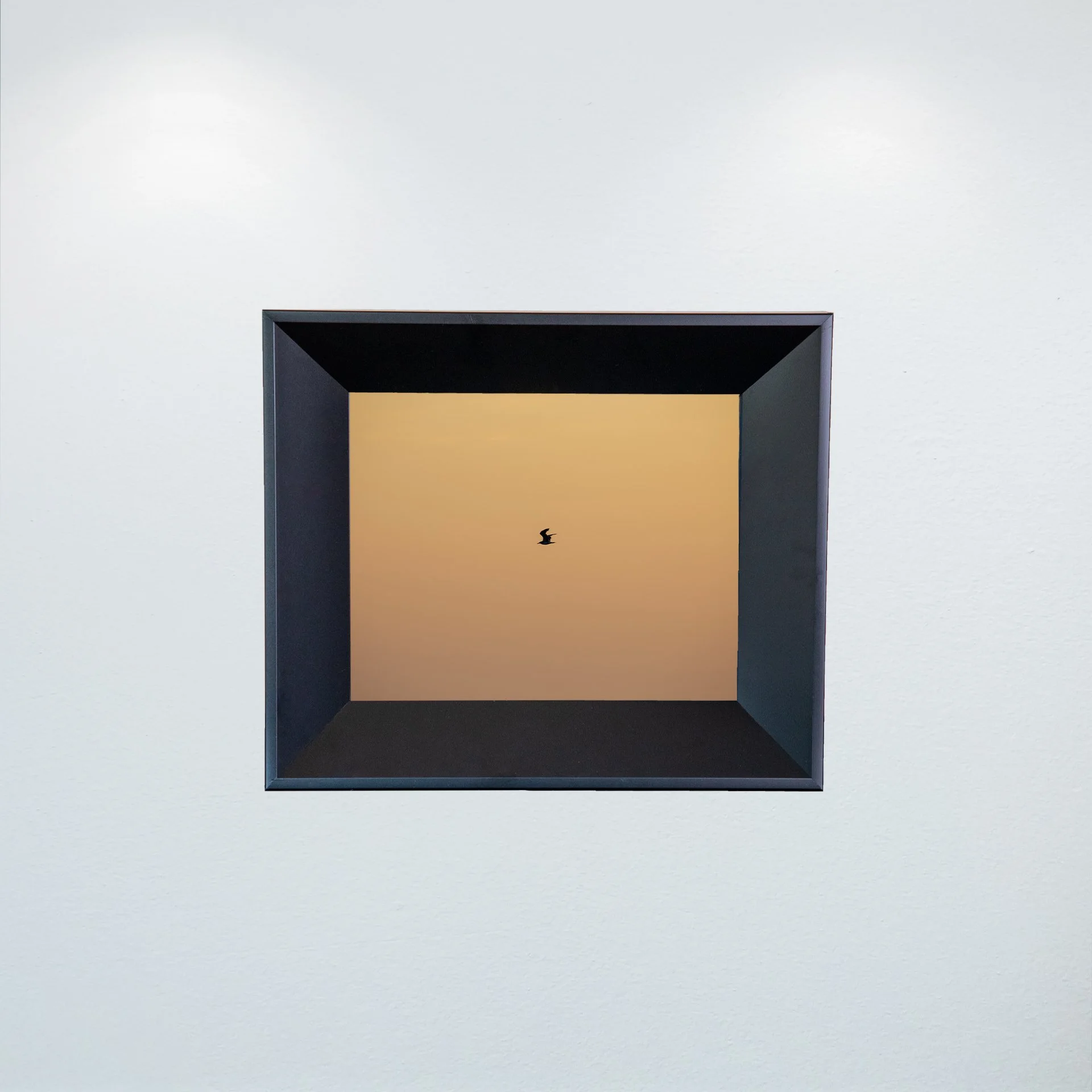 1:10 Orange Side Glider in Duck, NC- Mini.jpg