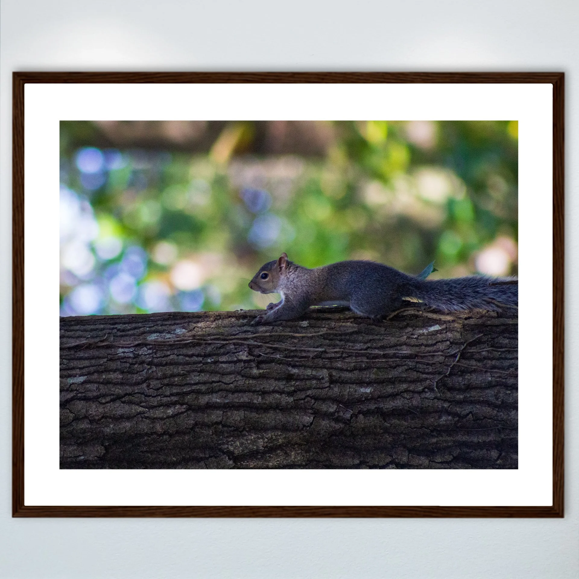 1:1 Squirrel's World- Wood w: Border.jpg