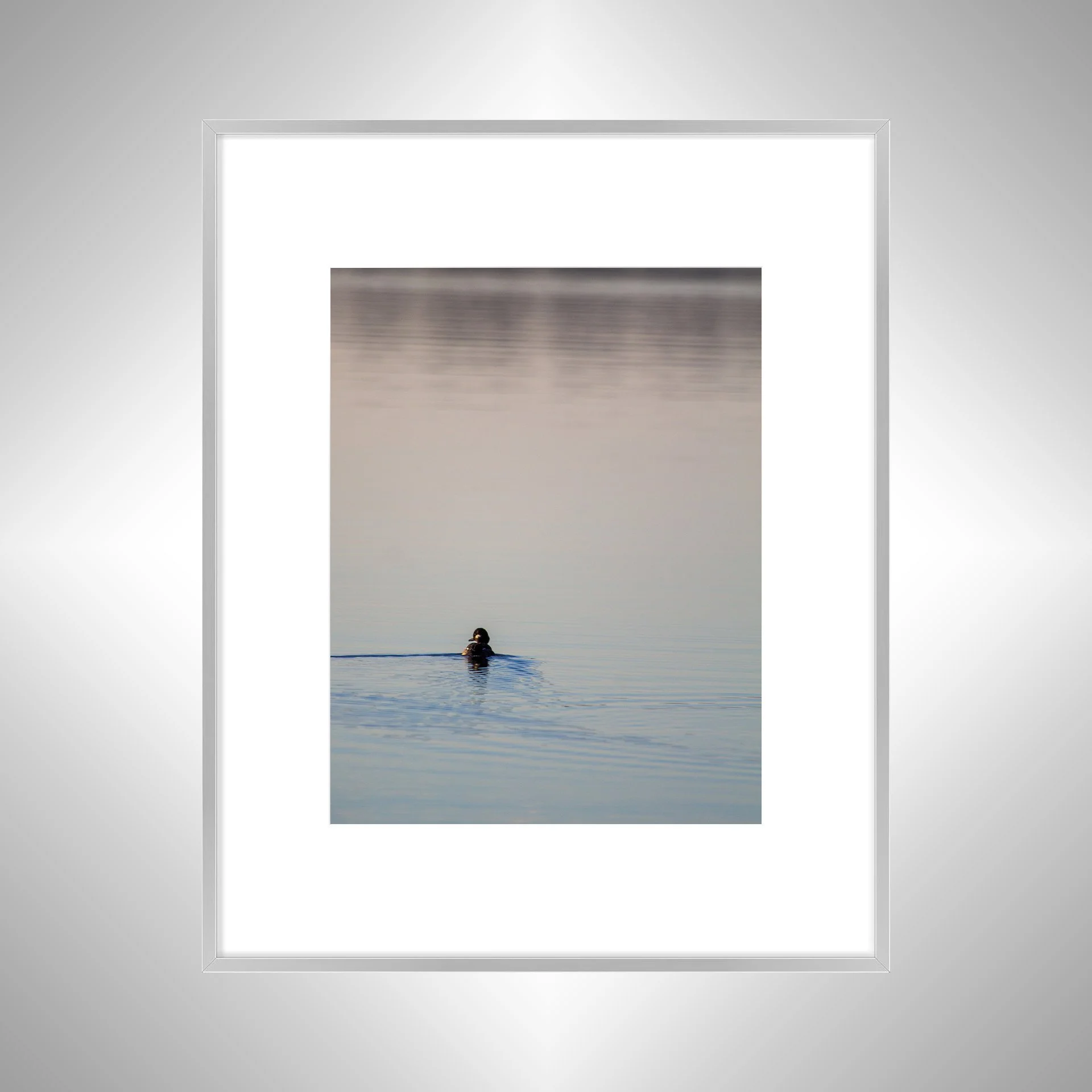 1:10 Bufflehead on Lafayette- Silver w: Border.jpg