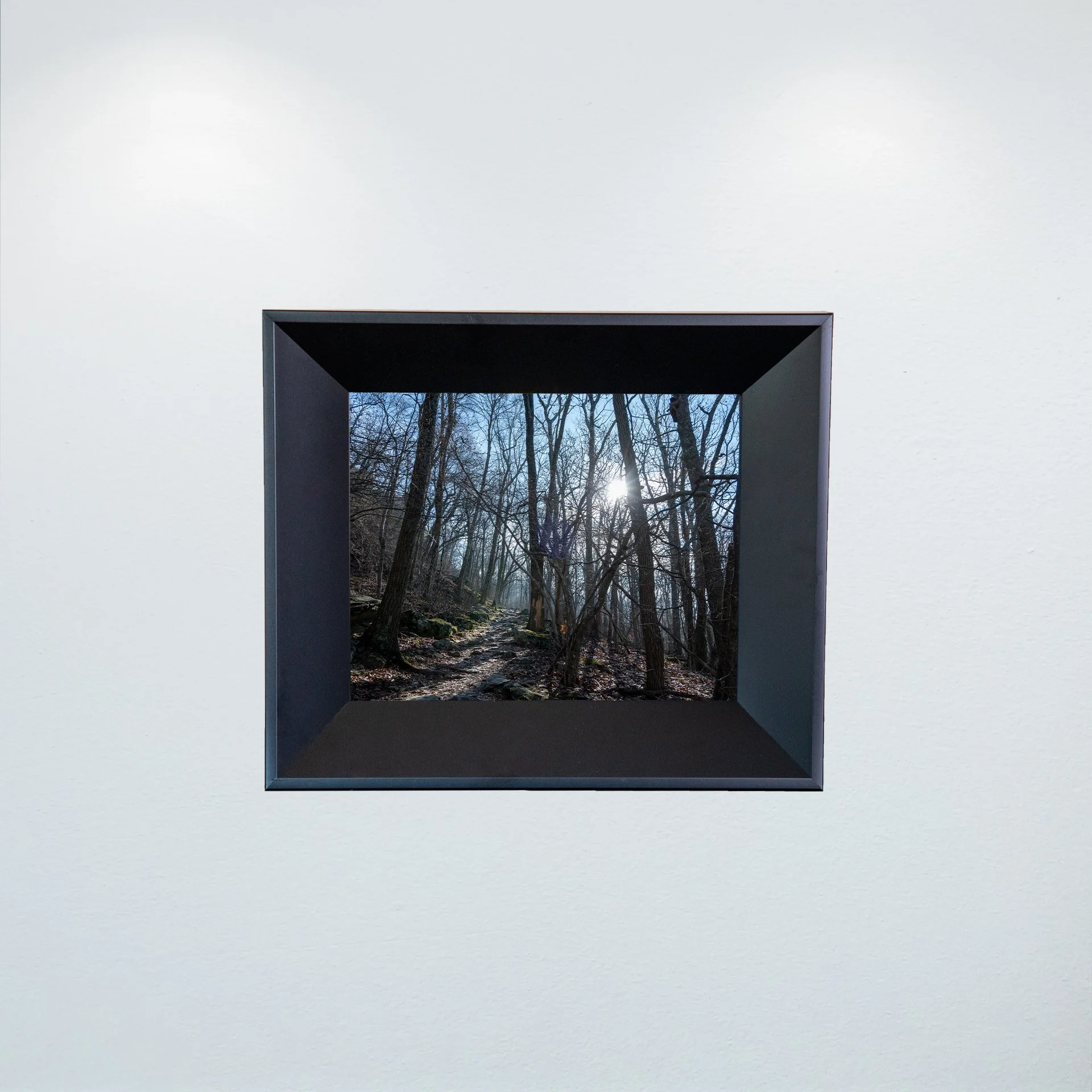 1:1 Shenandoah National Park Rock Trail with Sun Flare- Mini.jpg