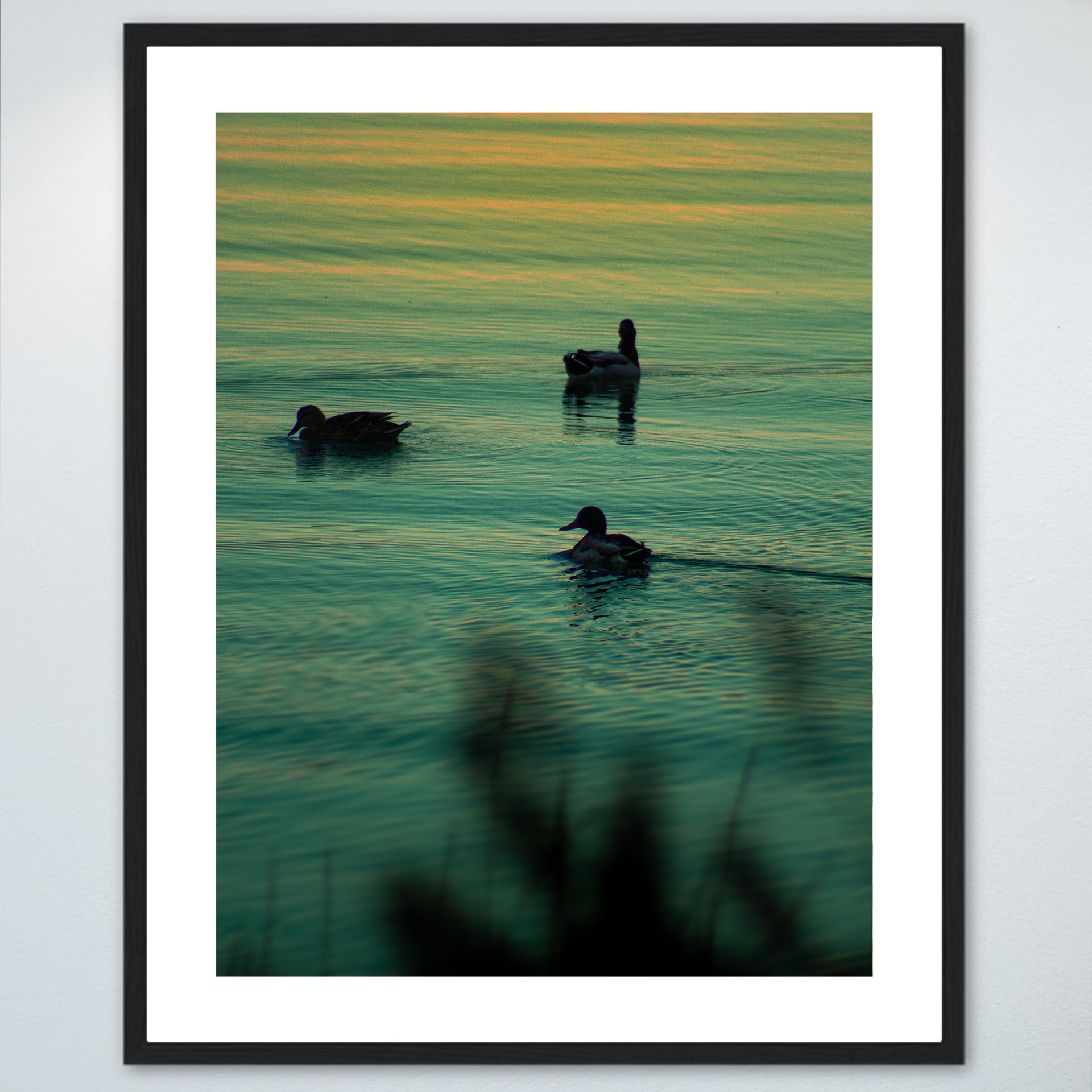 1:1 Duck Family Swimming towards Sunset- Wood w: Border.jpg
