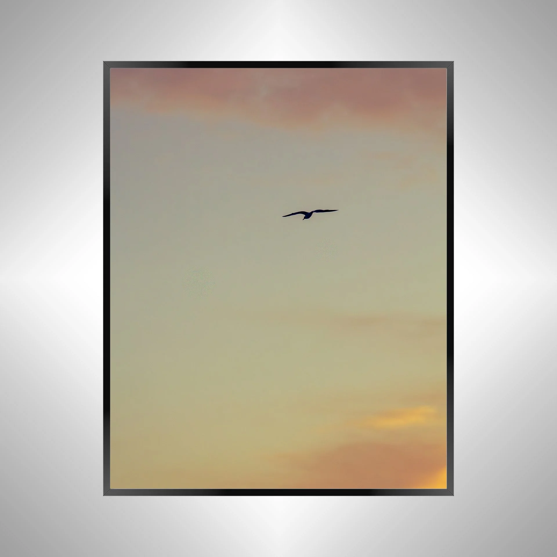 1/1 Seagull Soaring towards Pink & Orange Clouds