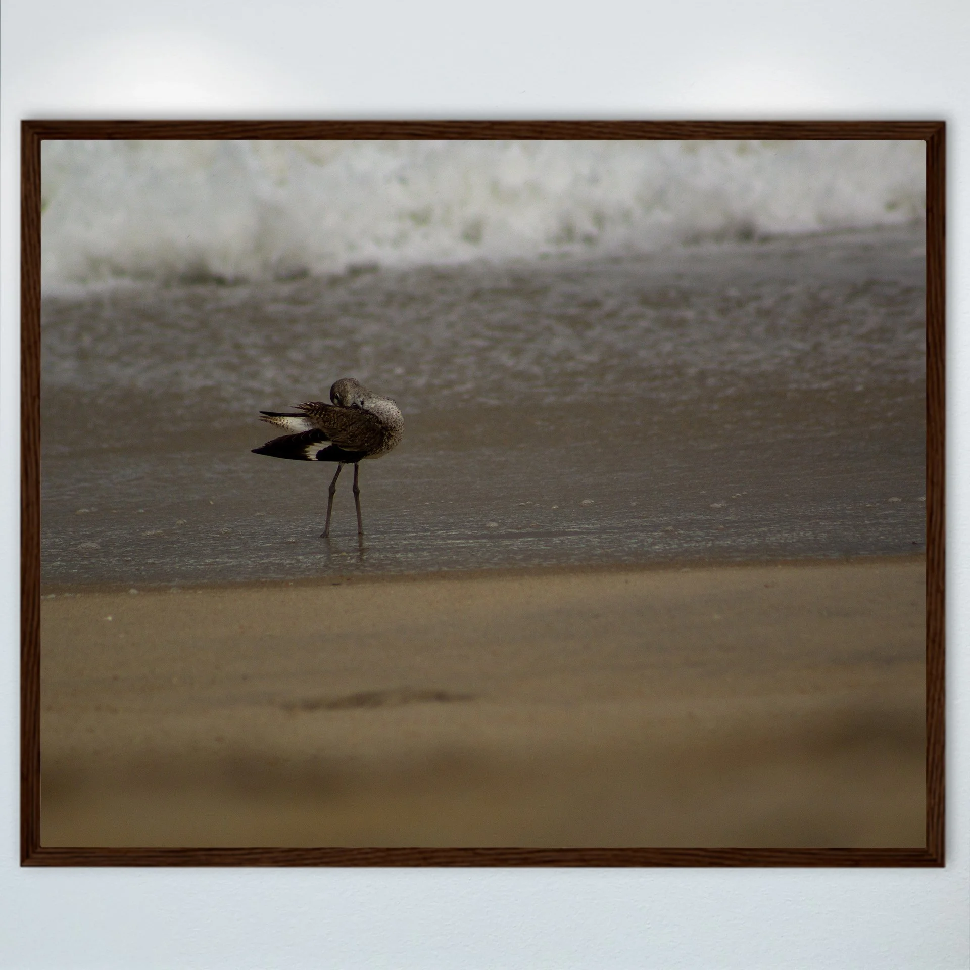 1:1 Willet Cleaning- Wood.jpg