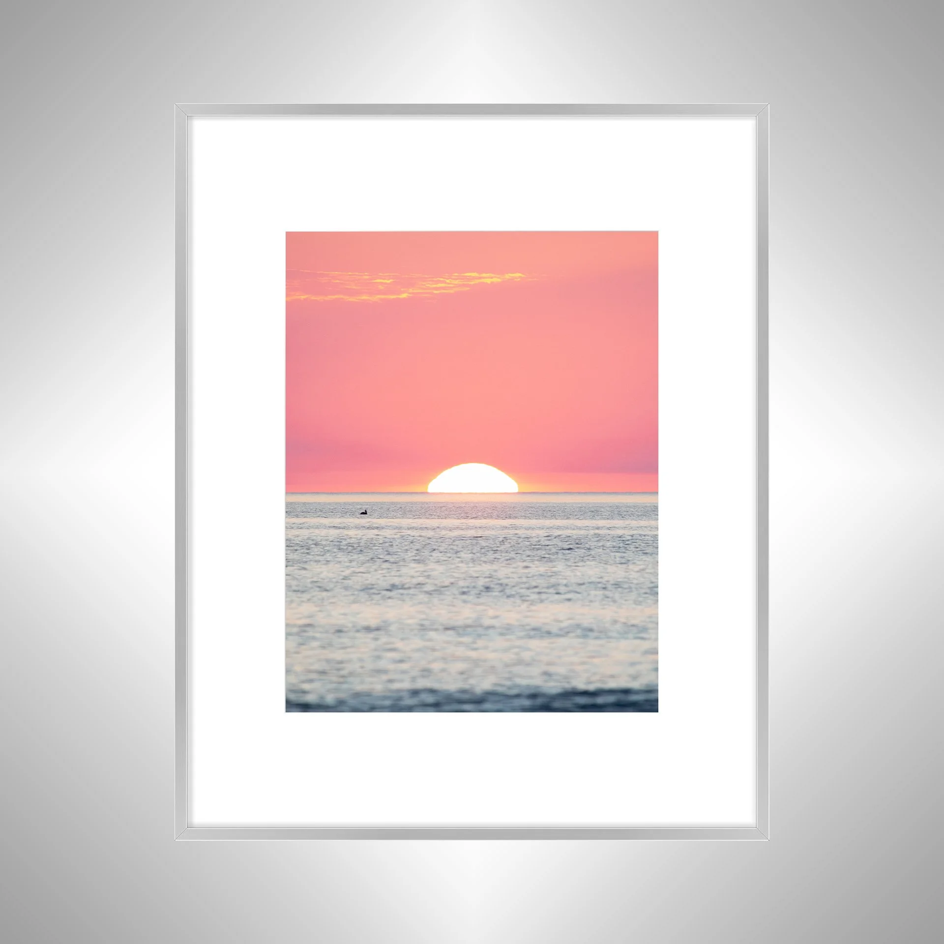 1:1 Pelican Watching Sunrise (Portrait)- Silver w: Border.jpg