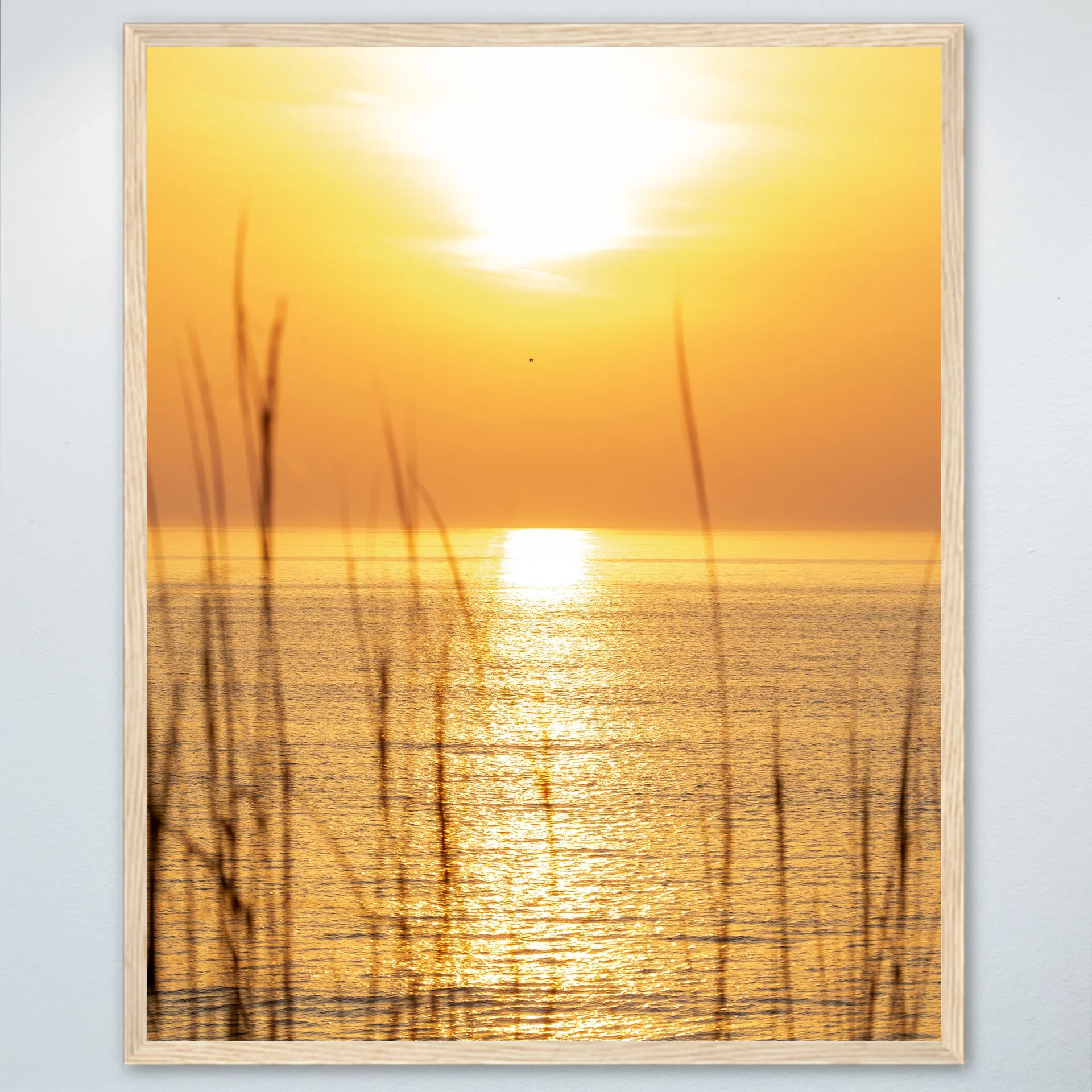 1:1 Sunrise thru Dunegrass with Seagull Flying By- Wood.jpg