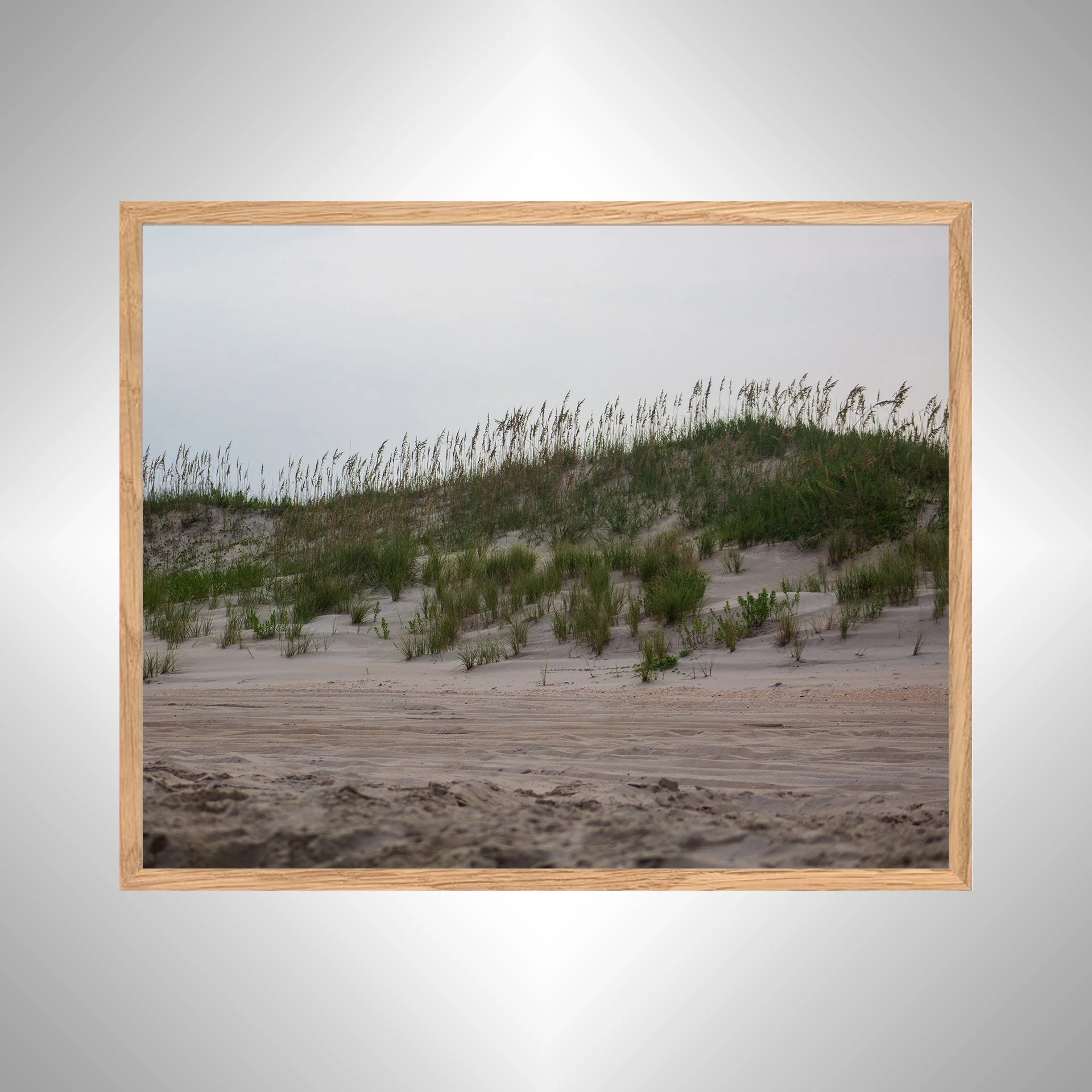 1:10 Ocracoke Dune Oats (Landscape)- White copy NATTY.jpg