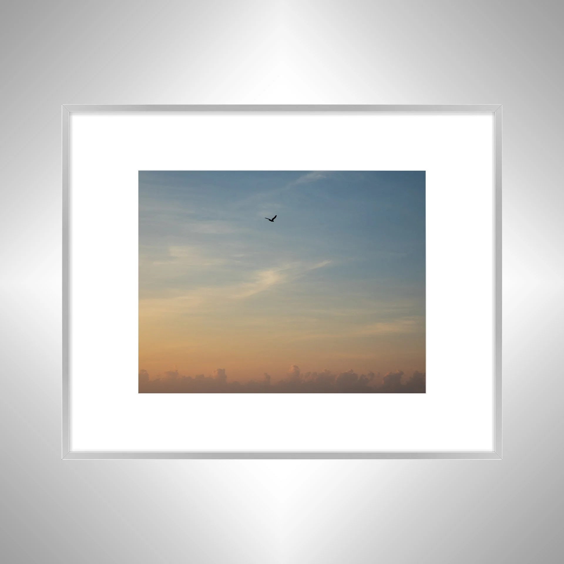 1:1 Seagull infront of Sunrise Clouds- Silver w: Border.jpg