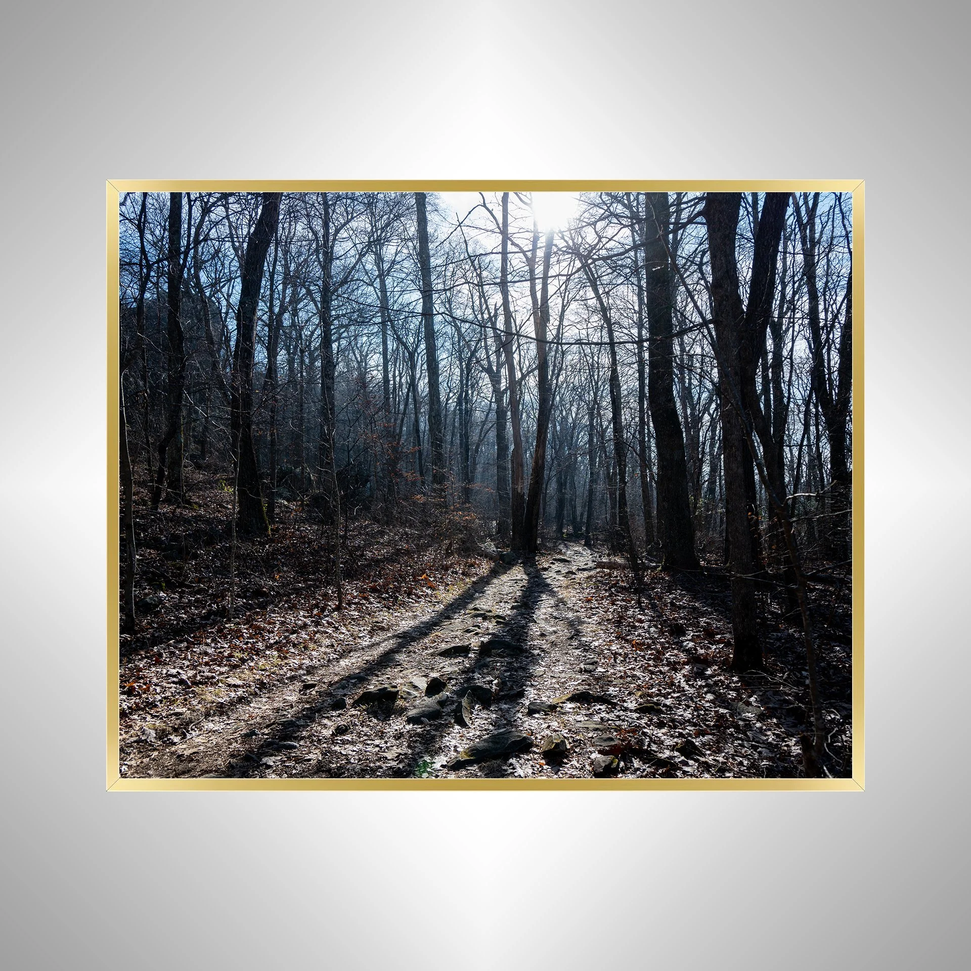 1:10 Shenandoah National Park Trail- g.jpg