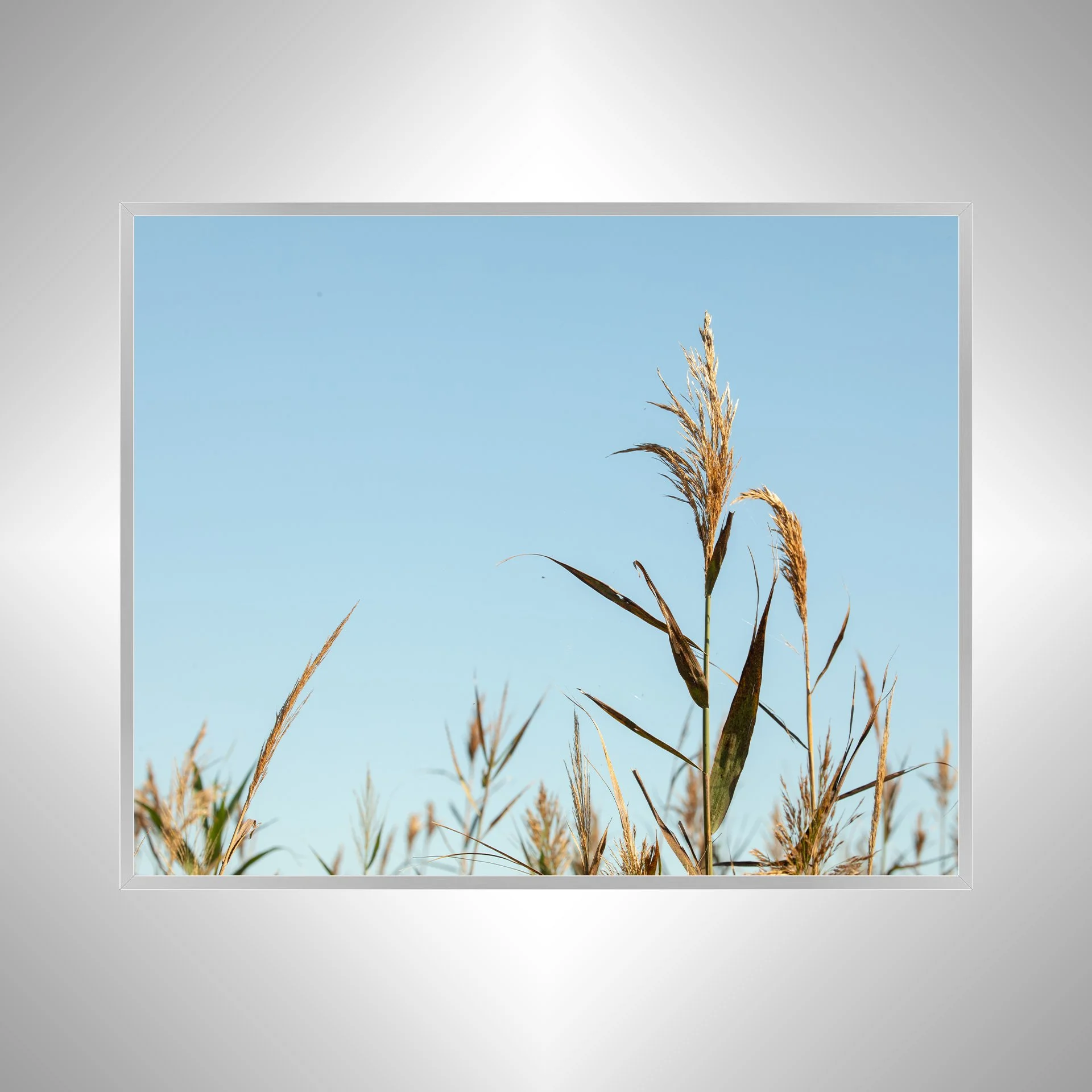 1:1 Back Bay Reeds- Silver Metal.jpg