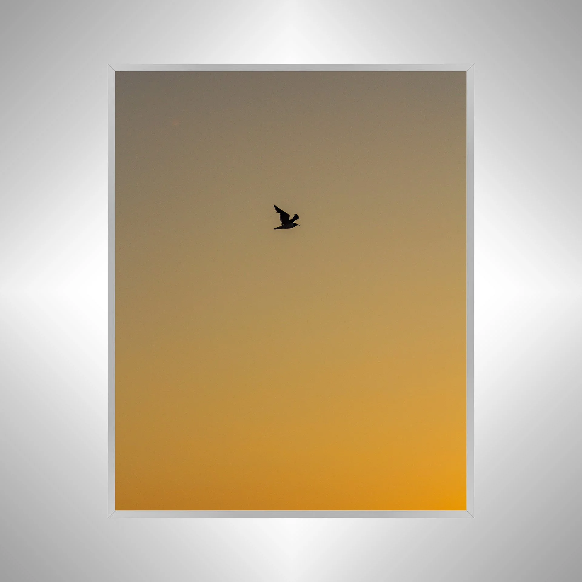 1:1 Seagull Silhouette Soaring South with Orange Gradient- Silver.jpg