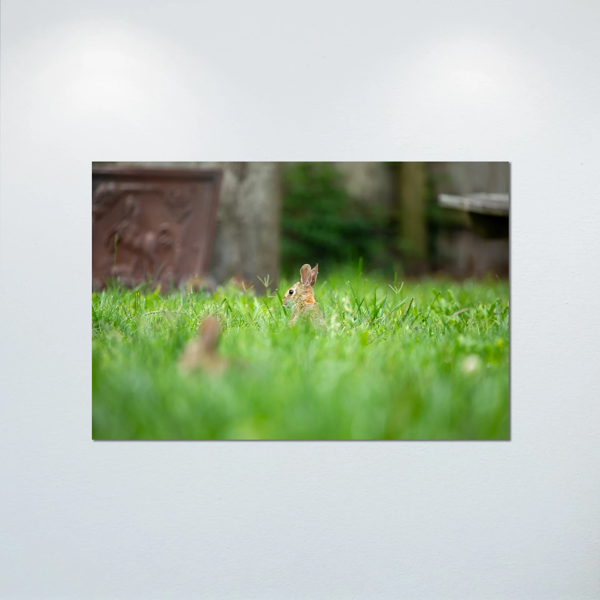 1:1 Standing Bunny- Poster & Canvas.jpg
