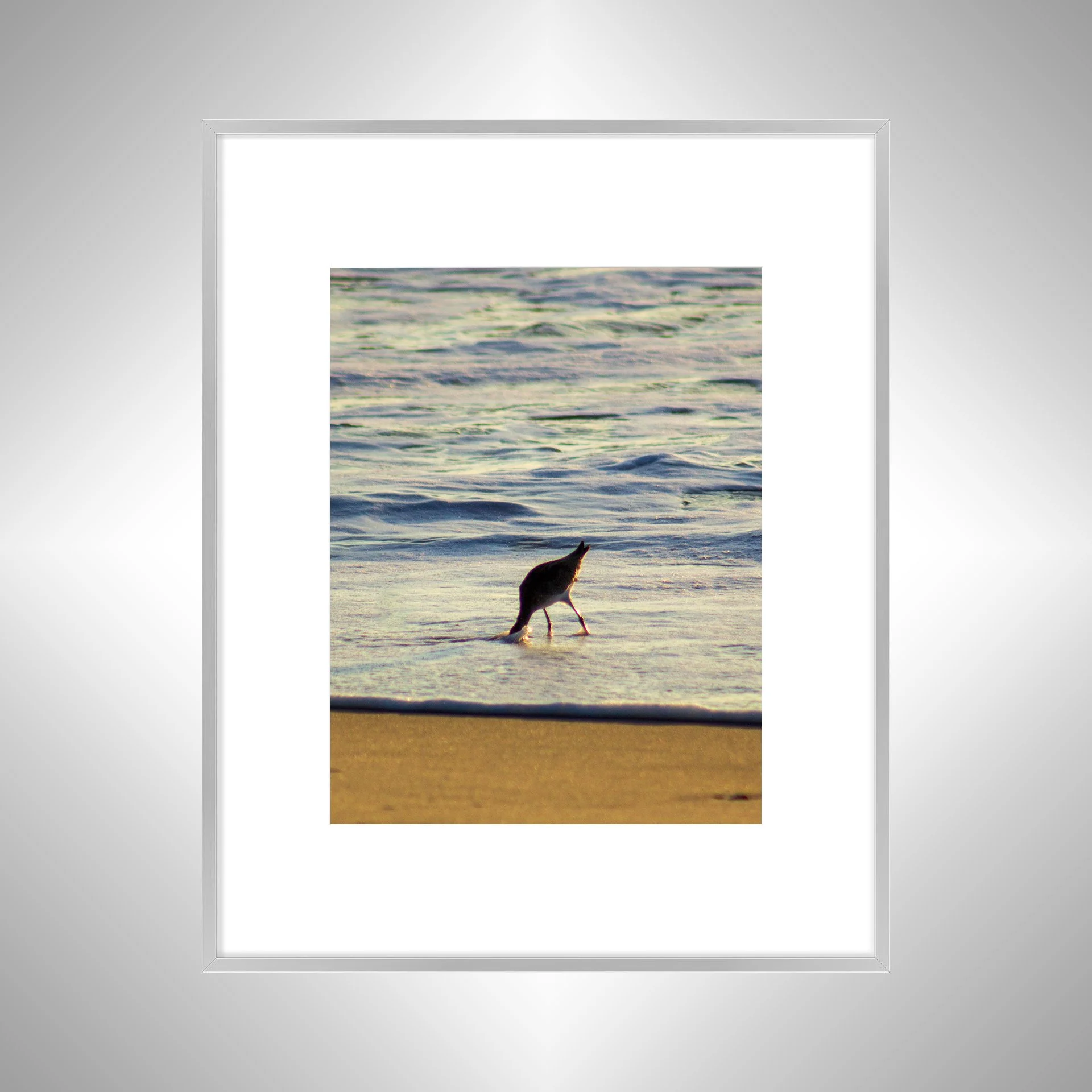 1:1 Willet Hunting-silver w. Border.jpg