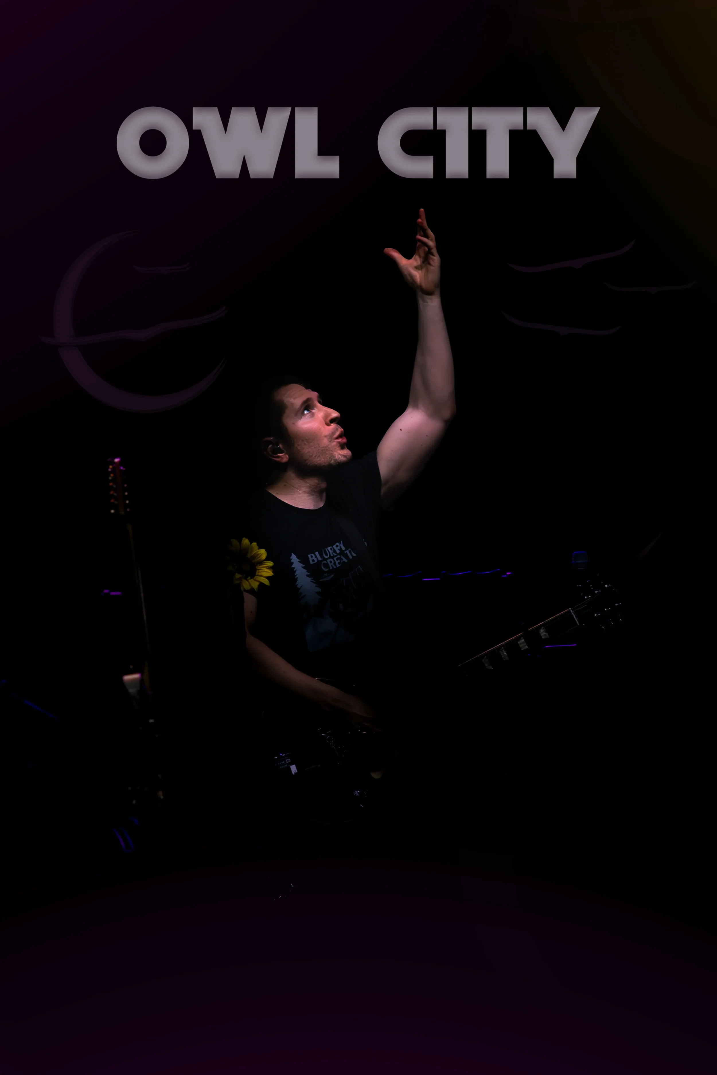 OWL CITY GRAPHIC.webp