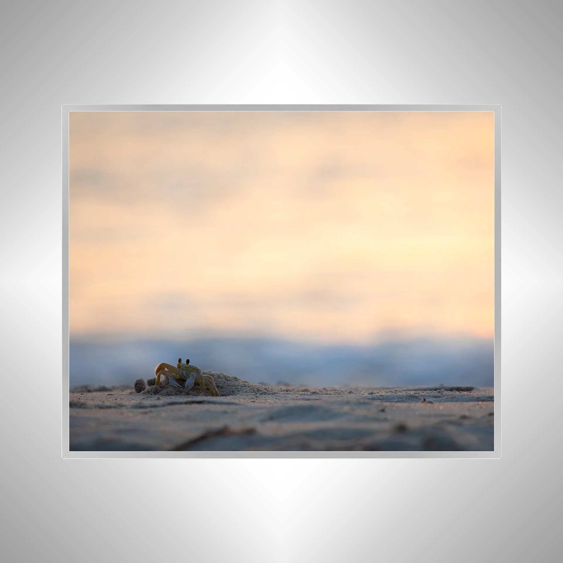 1:1 Ghost Crab Profile- Silver Metal.jpg