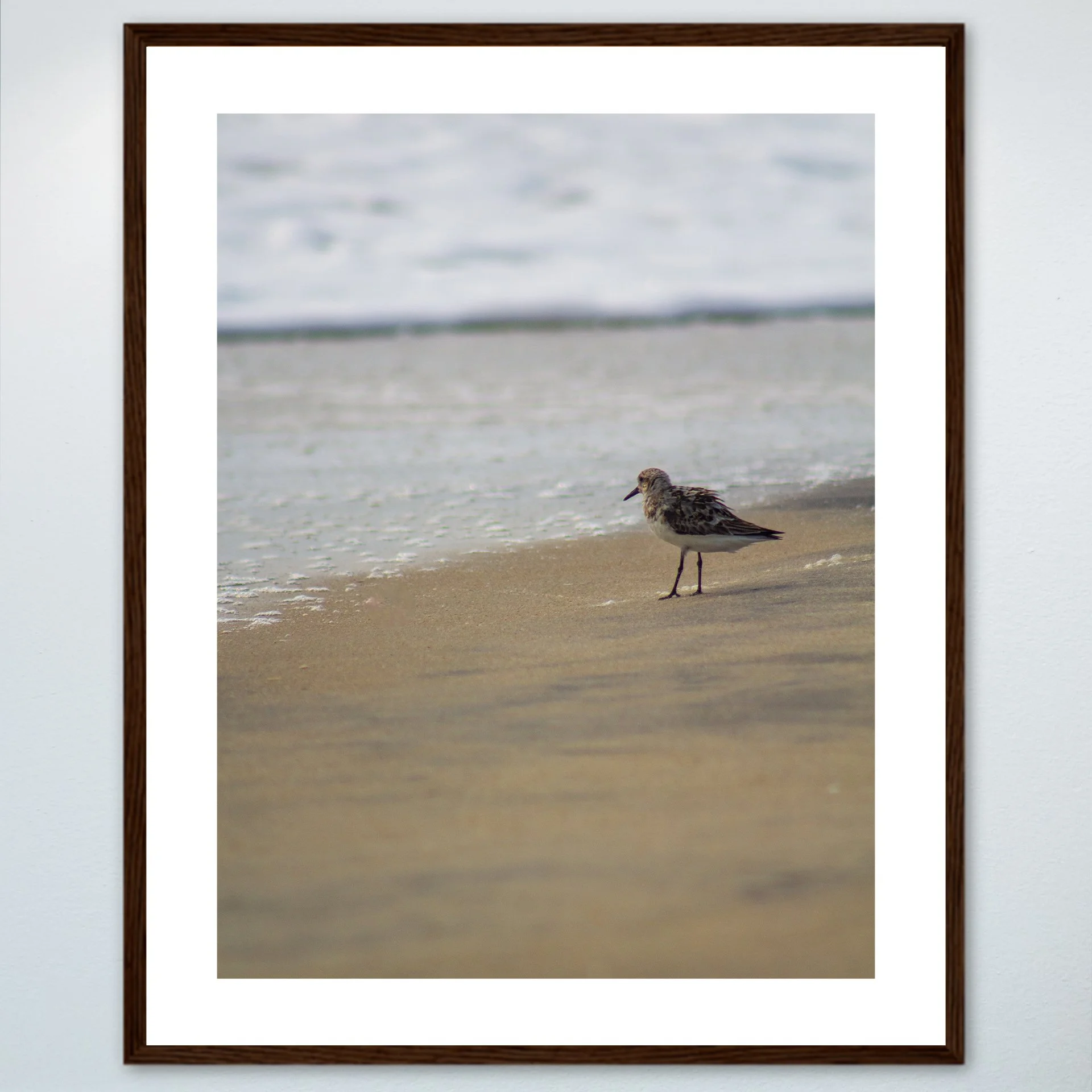 1:10 Sanderling at the Beach- Wood w: Border.jpg