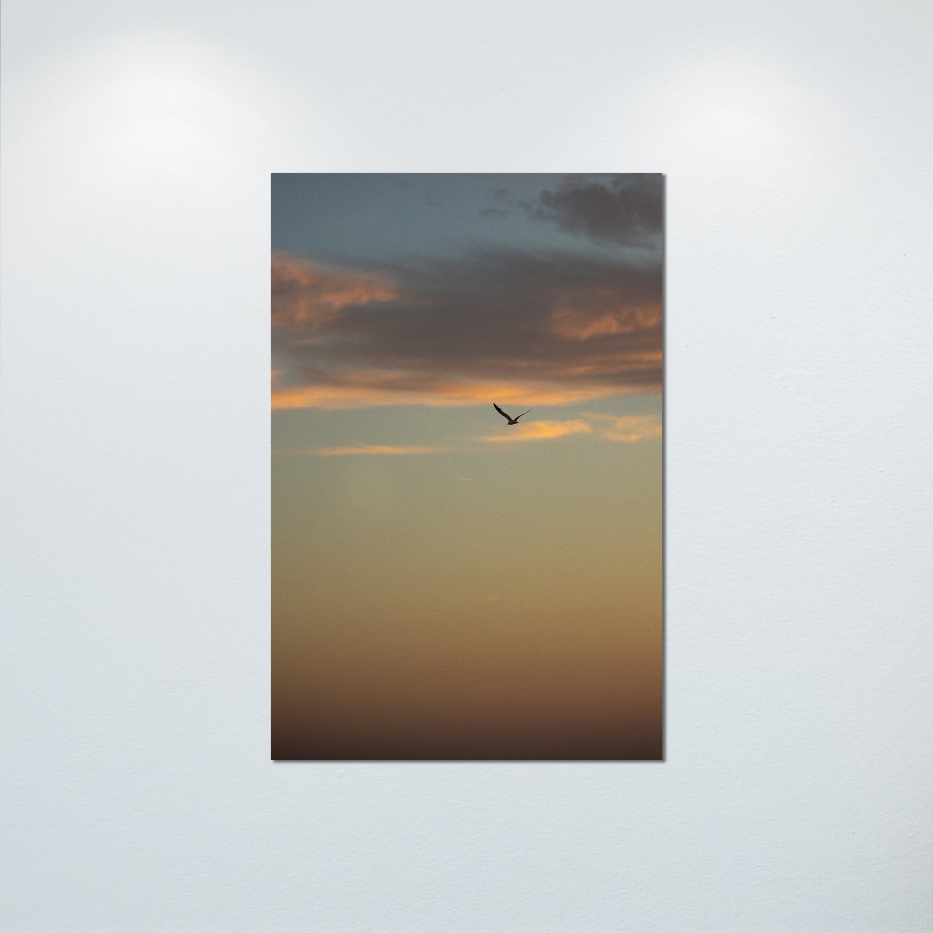 1:1 Seagull Soaring Gradient- Poster & Canvas.jpg