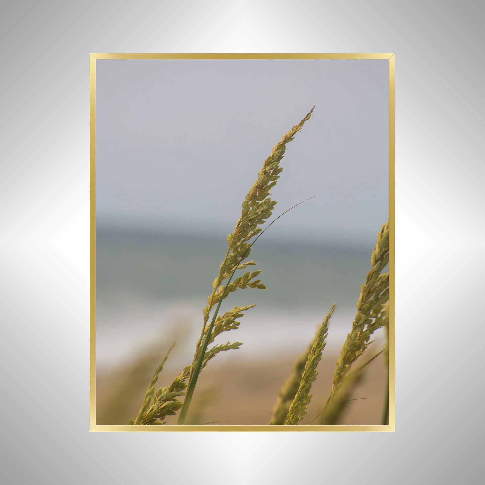 1:1 Rodanthe Dune Oats Single- Gold.jpg