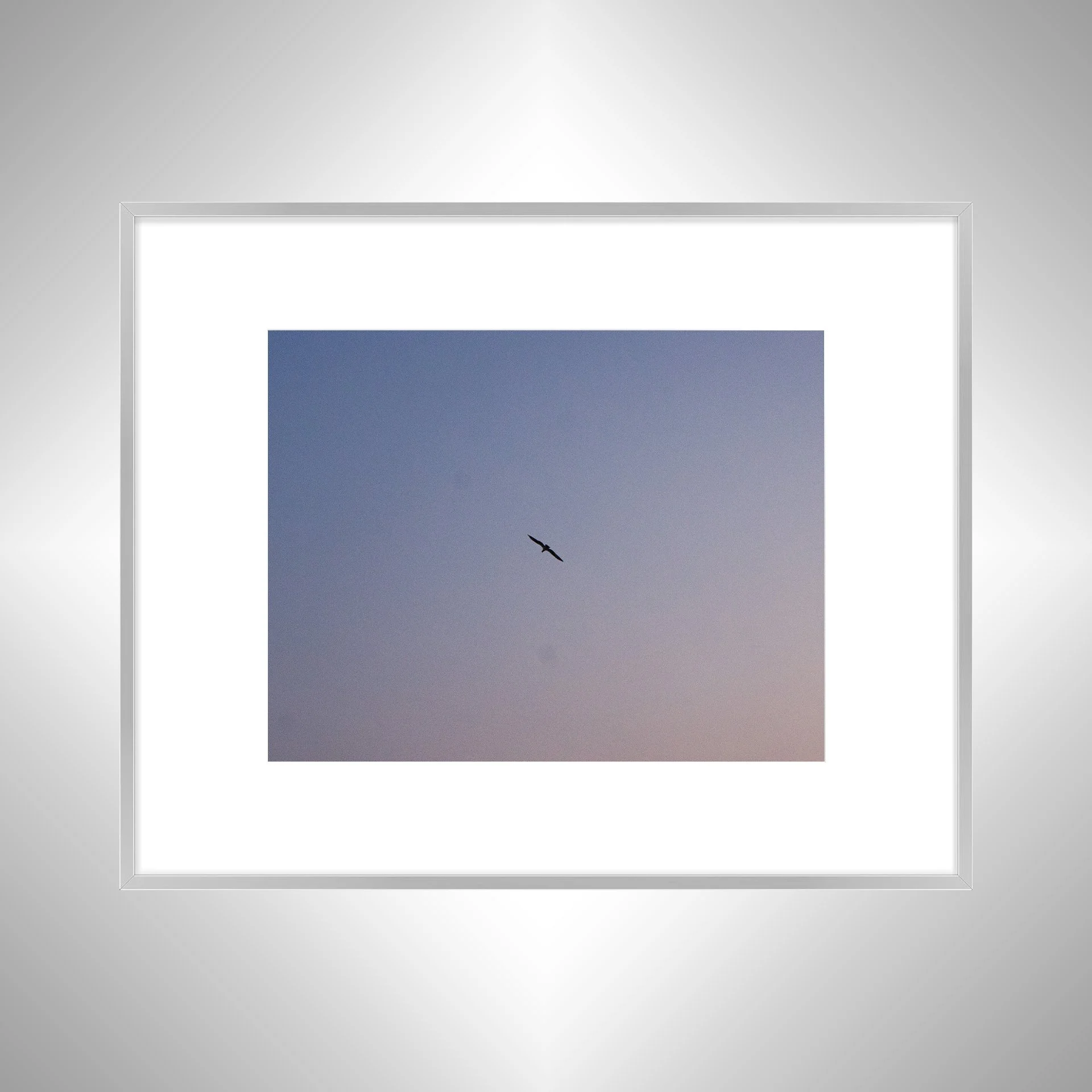 1:10 Kitty Hawk Seagull with Colorful Gradient Sky- Silver w: Border.jpg