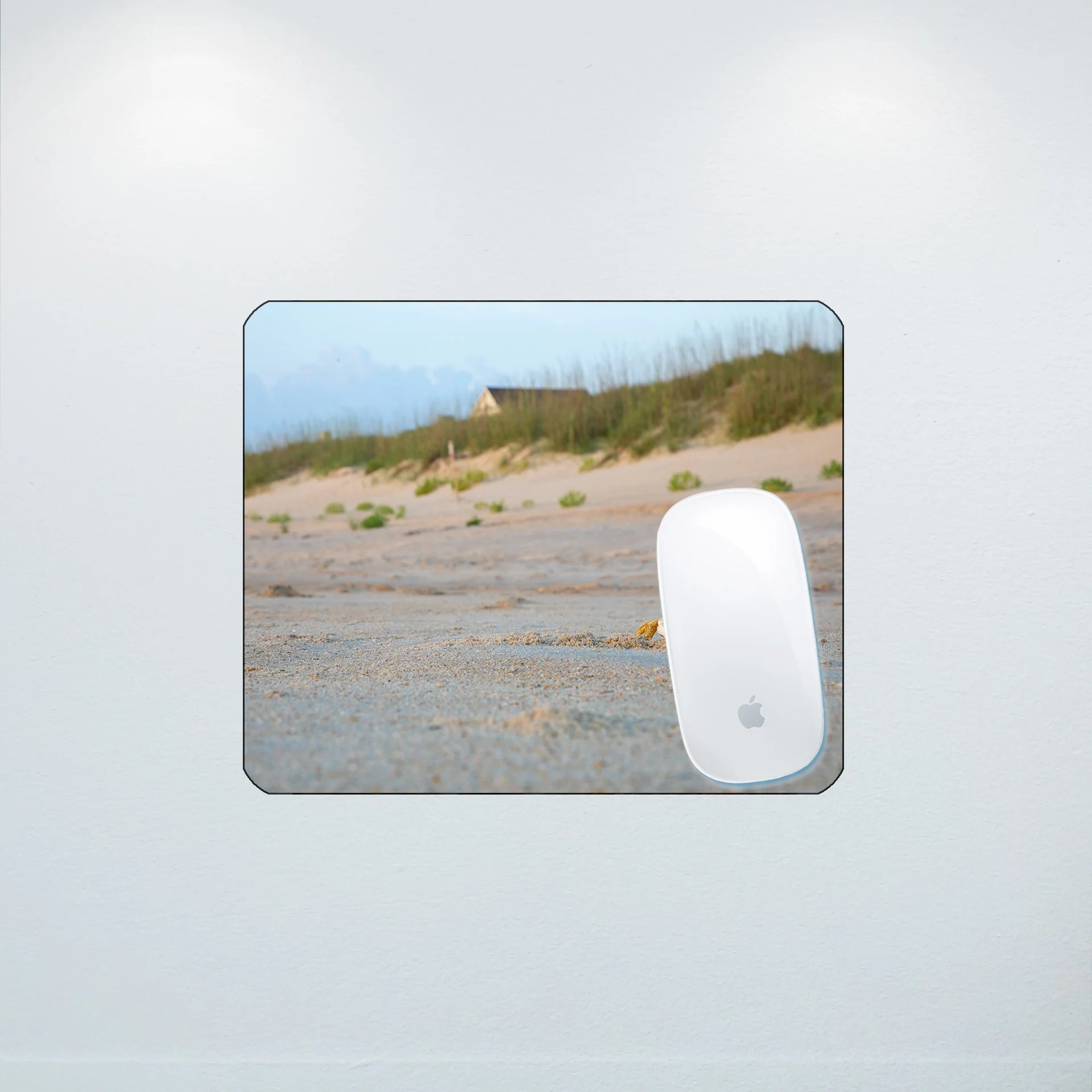 1:10 Ghost Crab Headshot- Mouse Pad.jpg