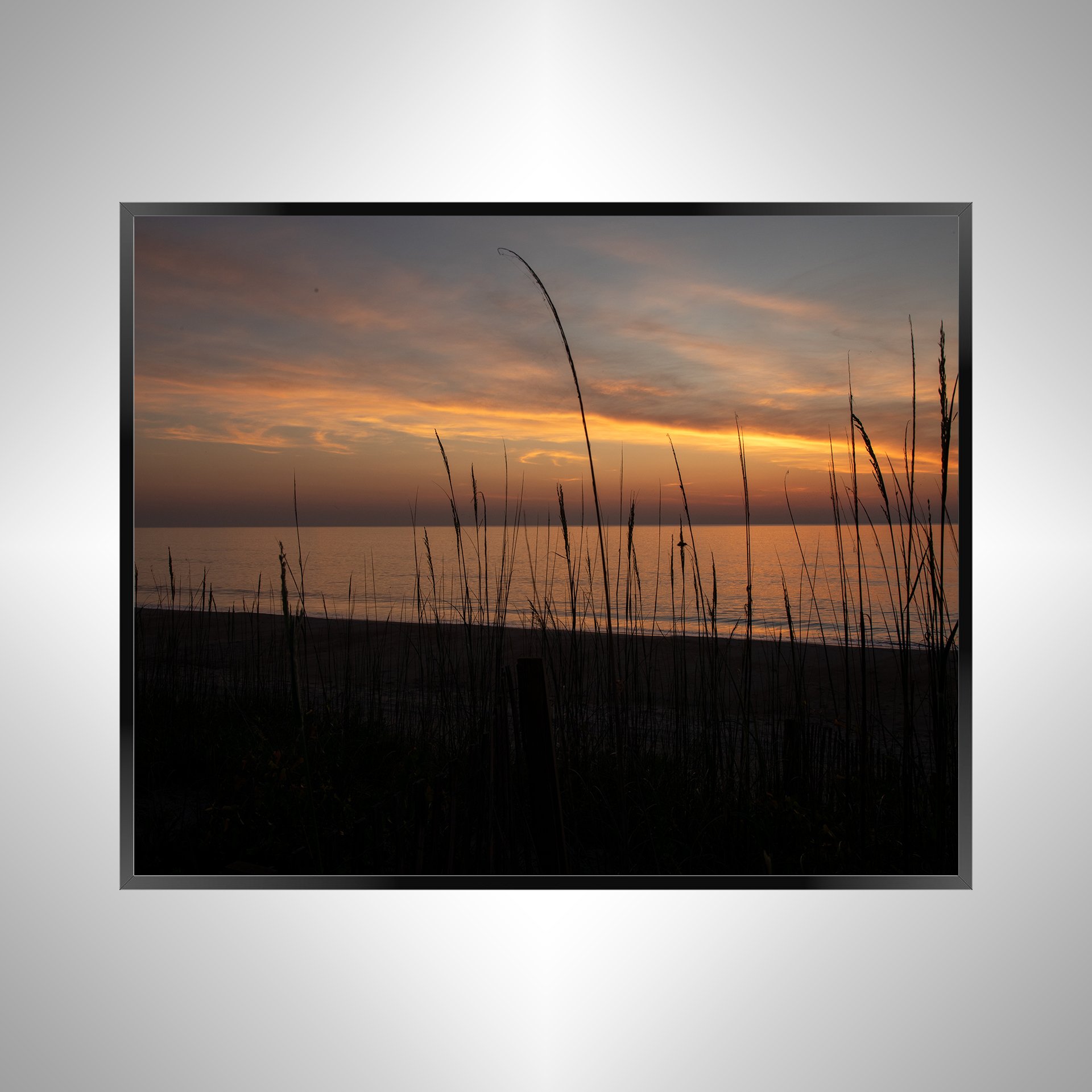 1/1 Sunrise behind Dunegrass