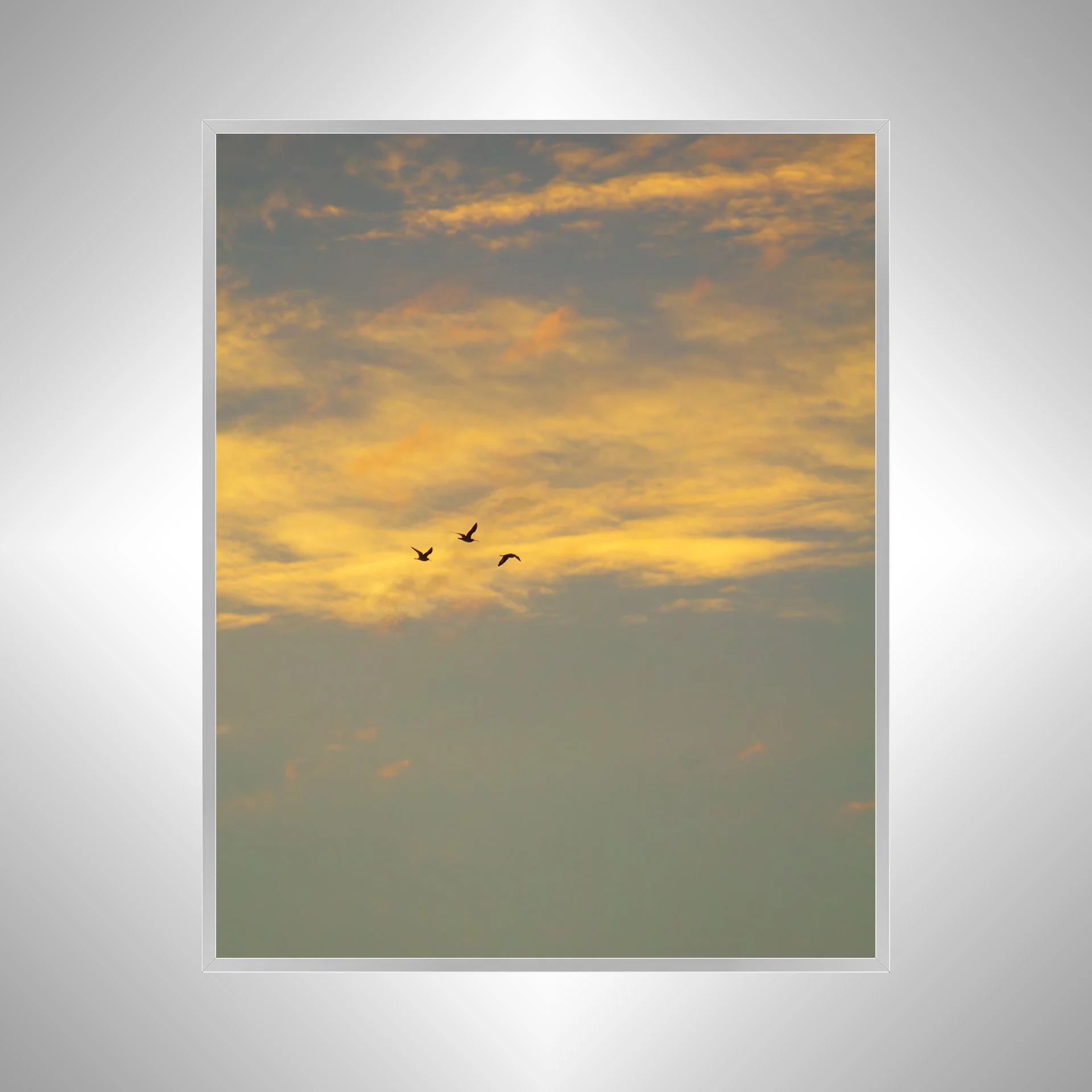 1:1 Trio of Gulls Flying at Sunrise- Silver.jpg