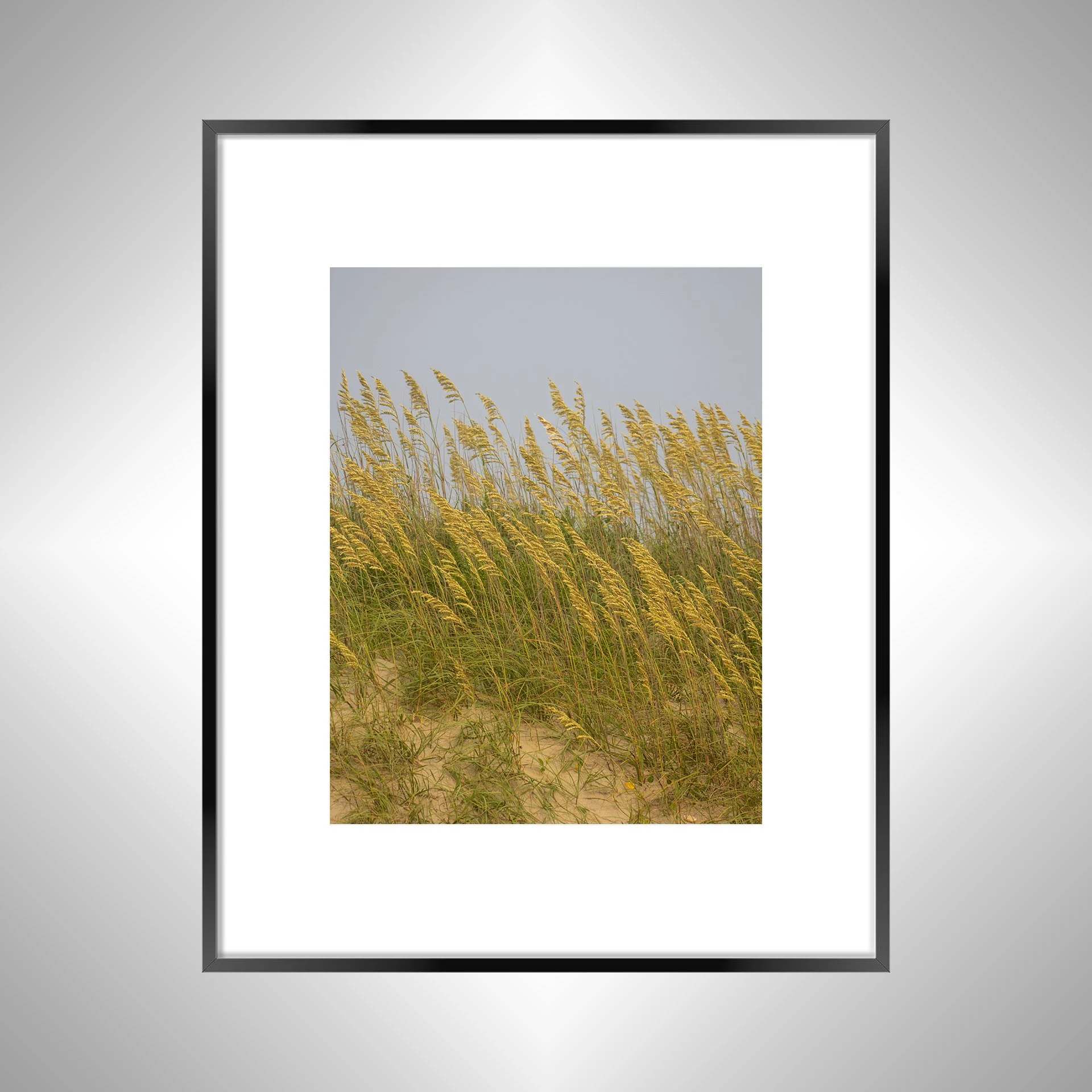 1:1 Rodanthe Dune Oats (Portrait)- Black w: Border.jpg