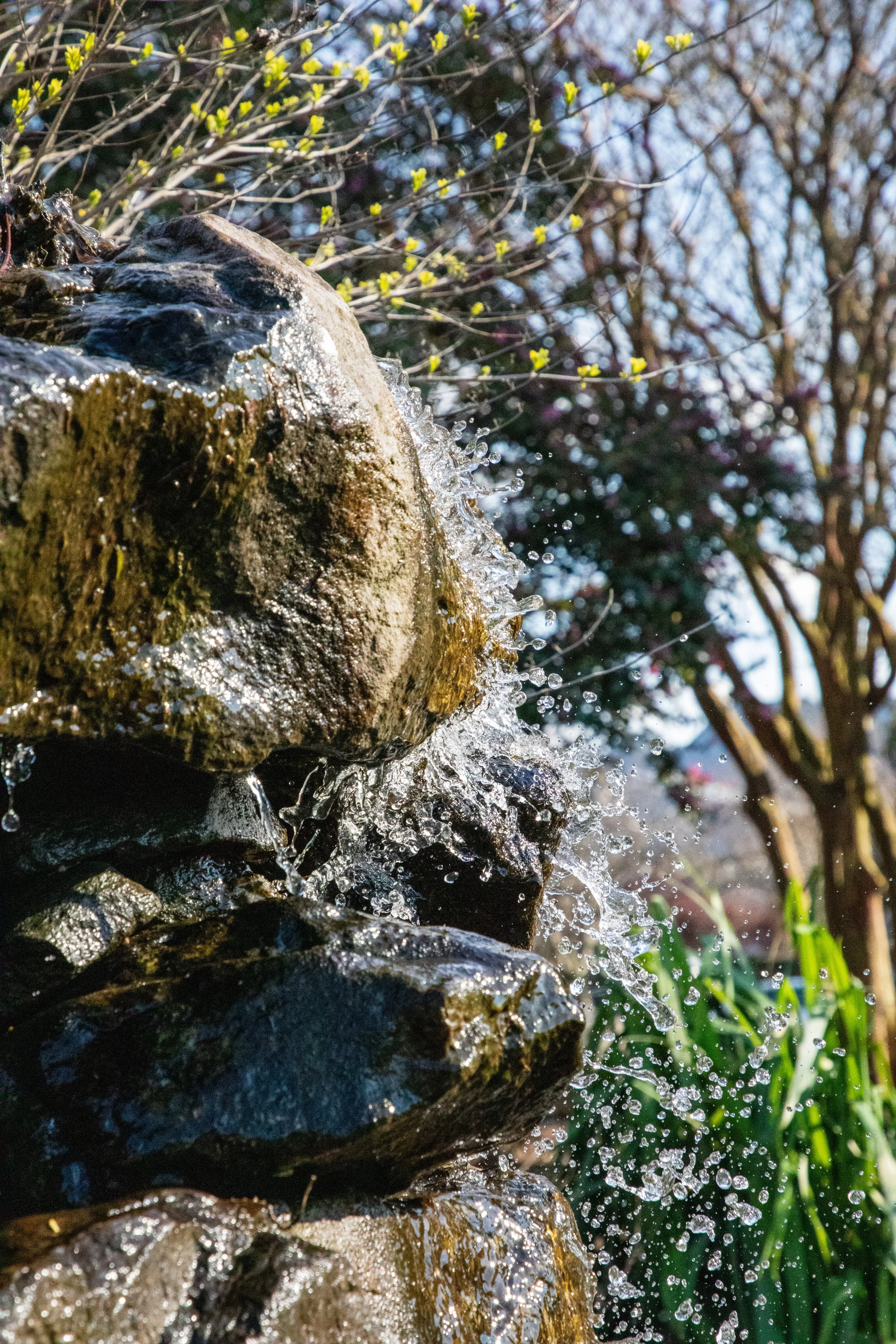 1:10 Waterfall Freezeframe at Pagoda Garden.jpg