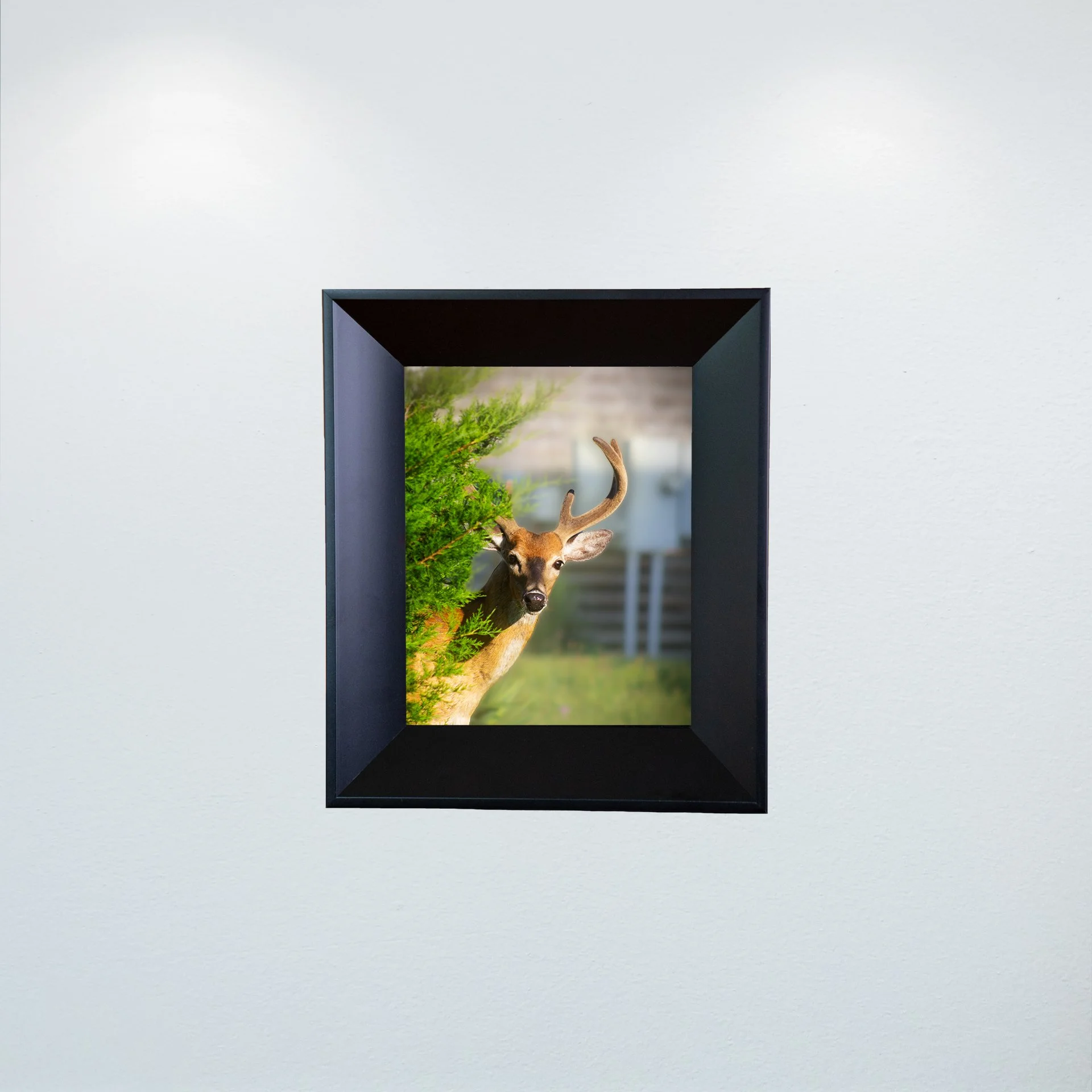 1:1 Deer Peer- Mini.jpg